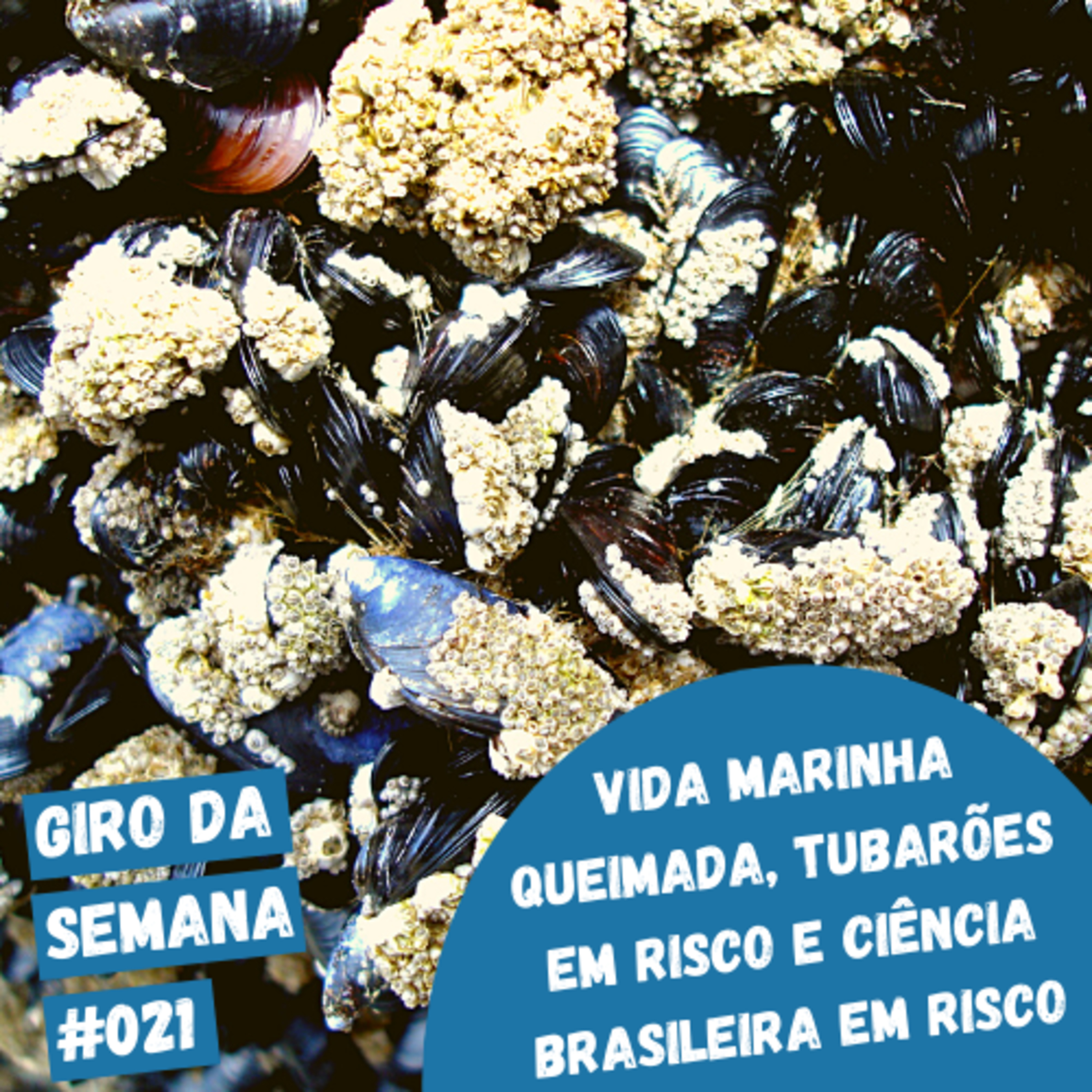 EcoNaturae - Educação Ambiental