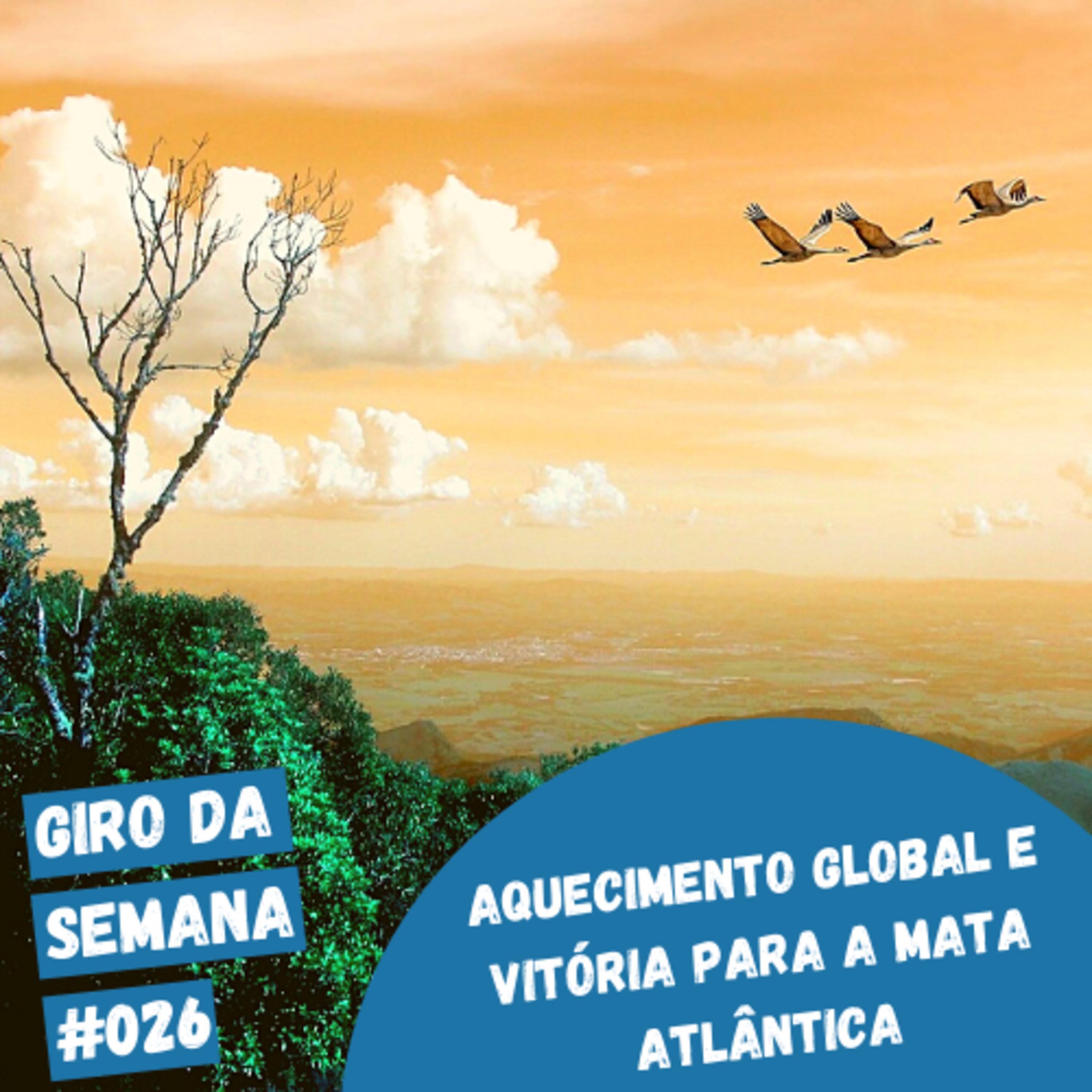 EcoNaturae - Educação Ambiental