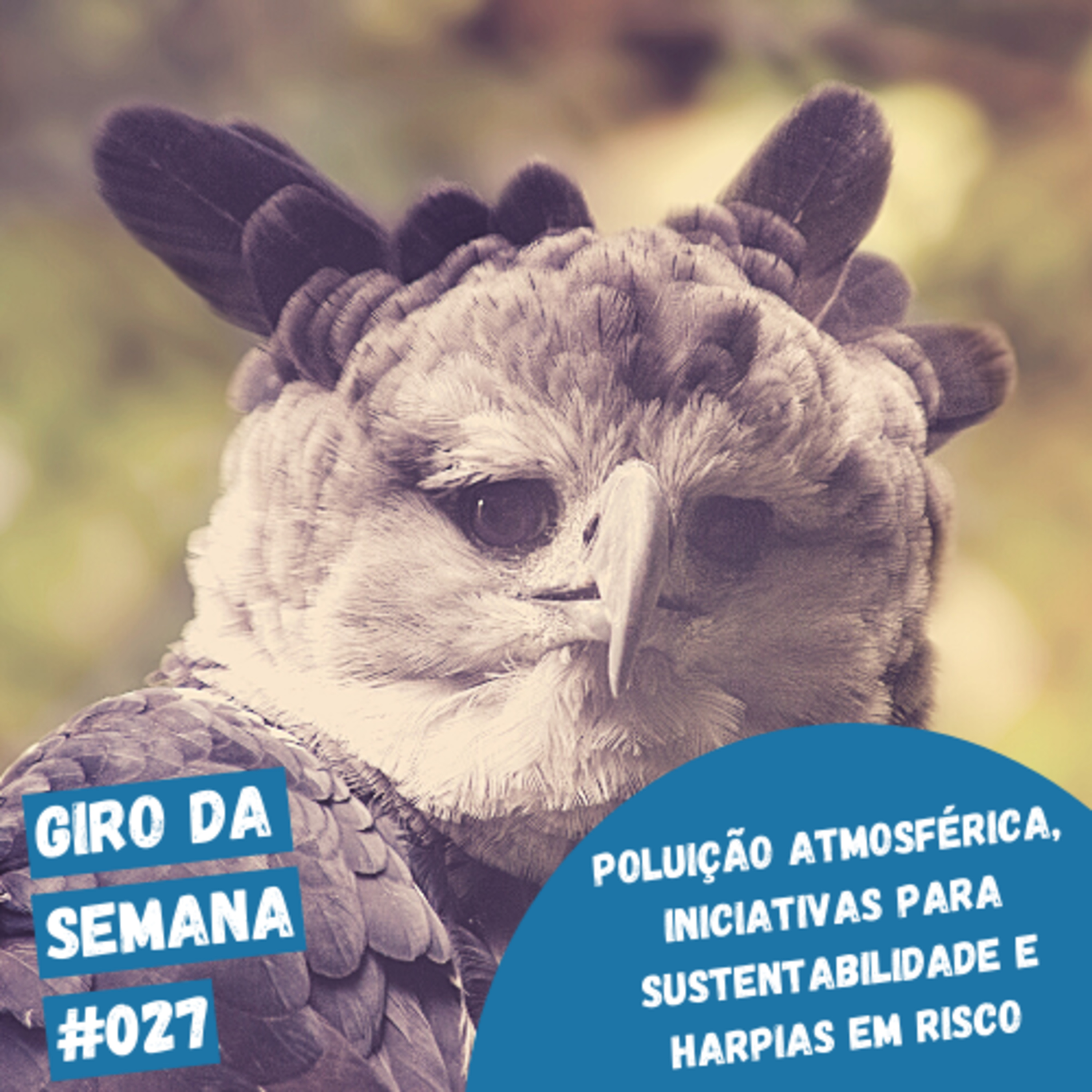 EcoNaturae - Educação Ambiental