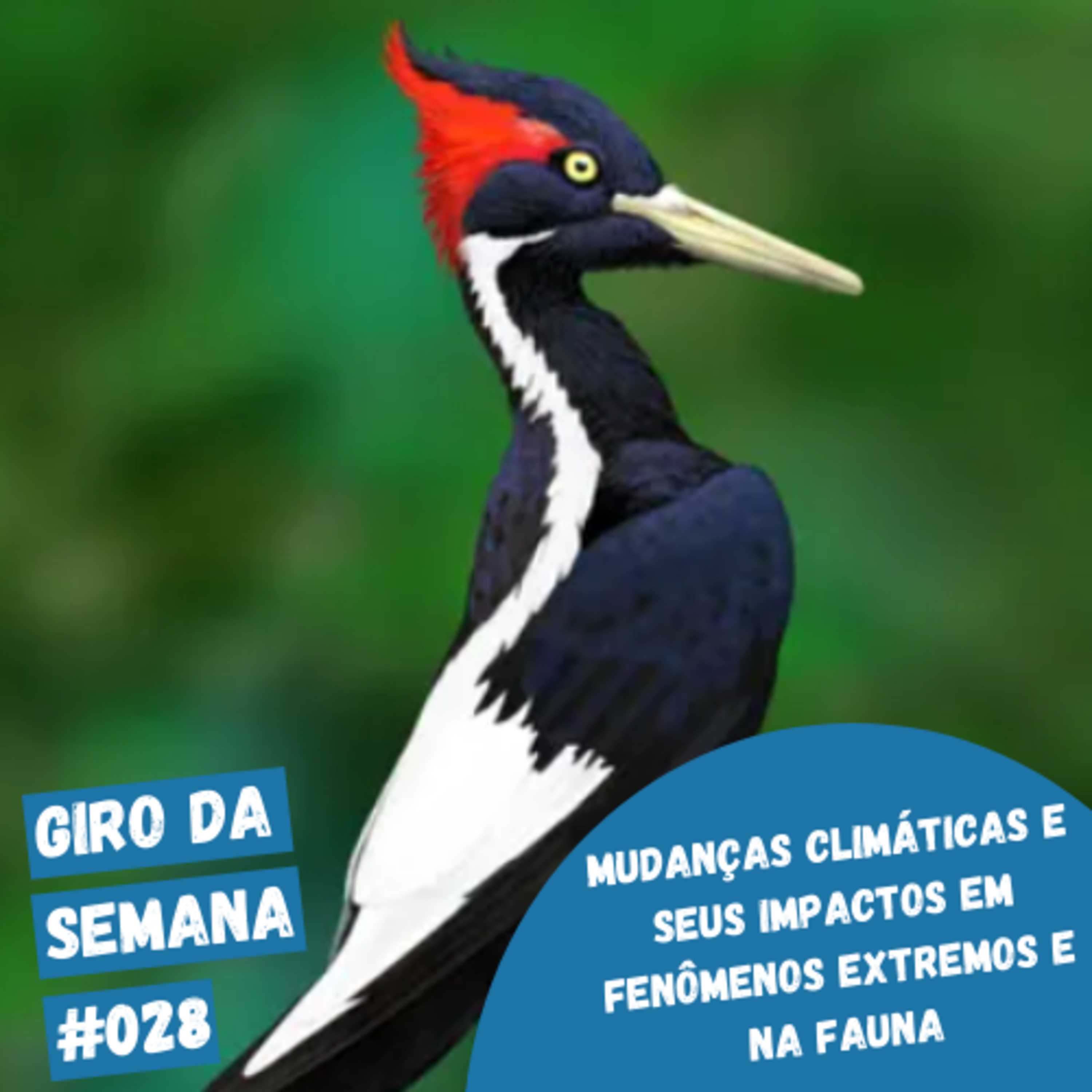 EcoNaturae - Educação Ambiental