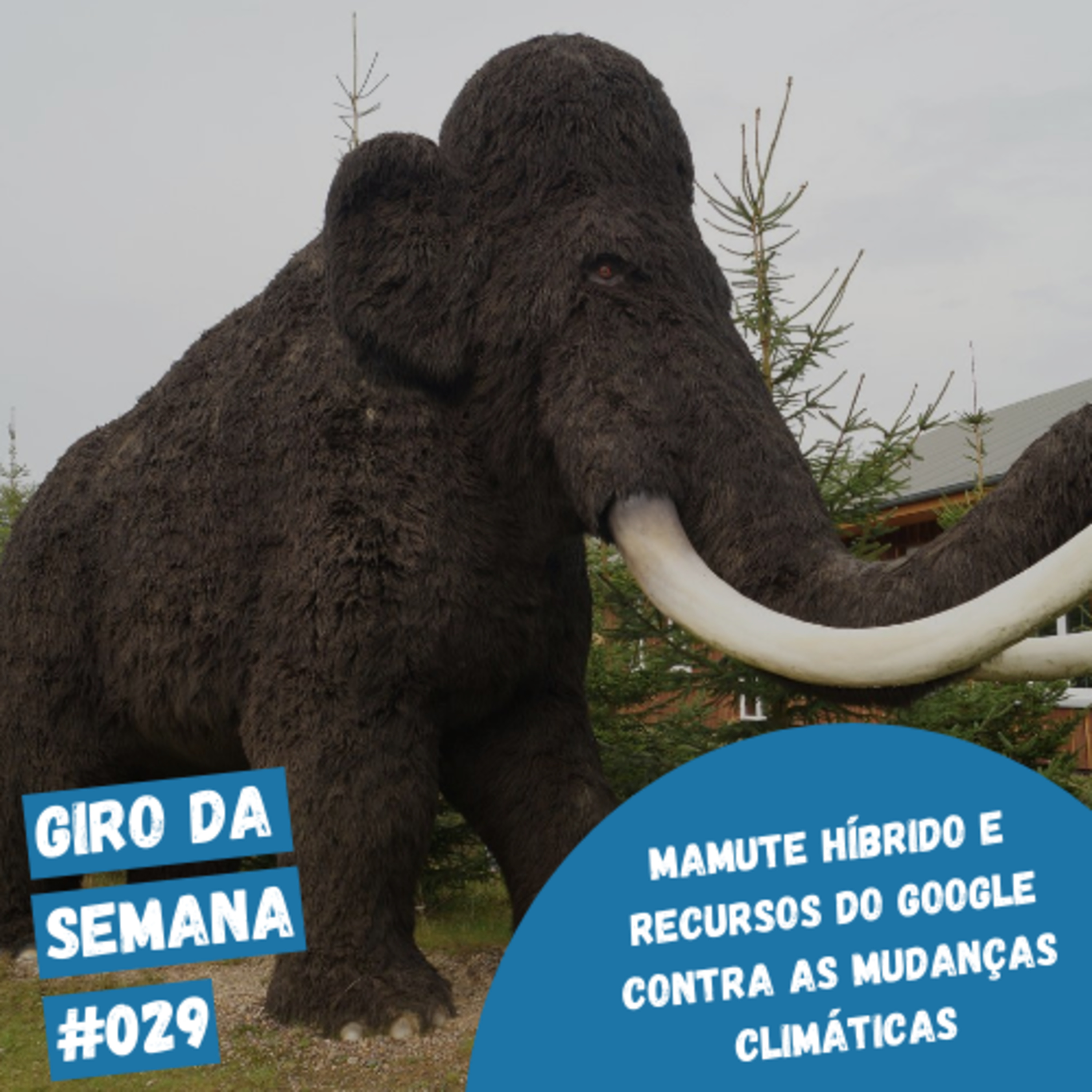 EcoNaturae - Educação Ambiental