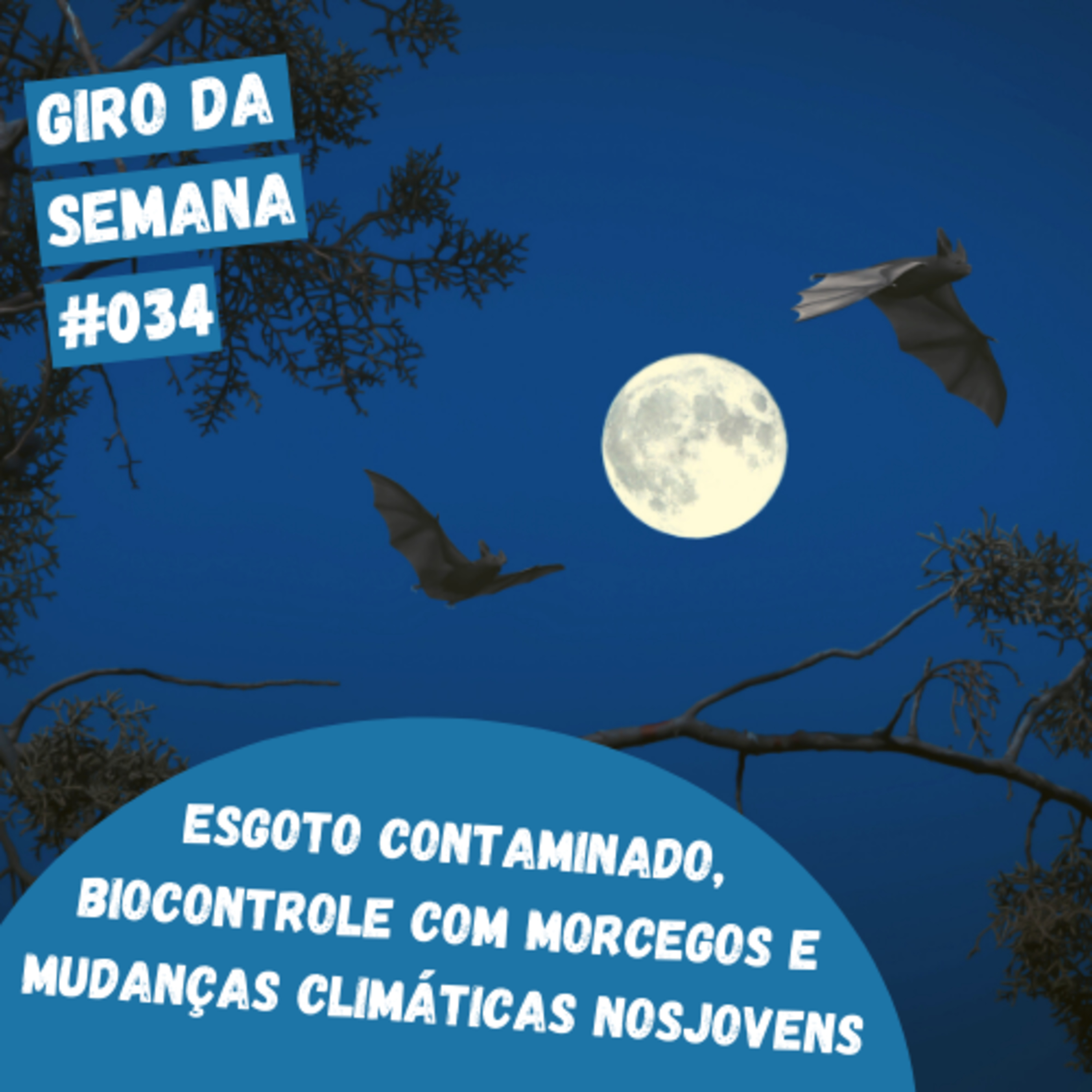 EcoNaturae - Educação Ambiental