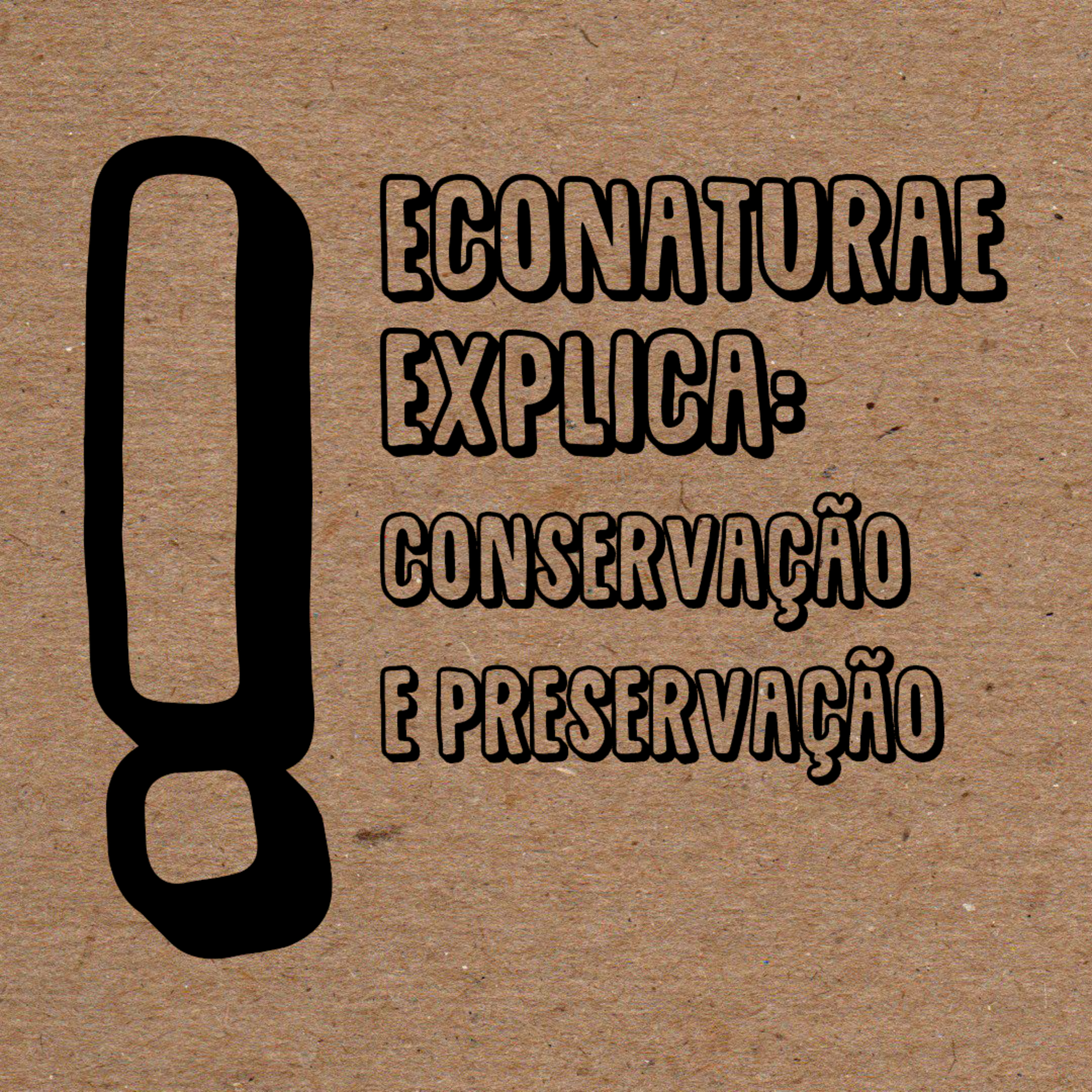 EcoNaturae - Educação Ambiental