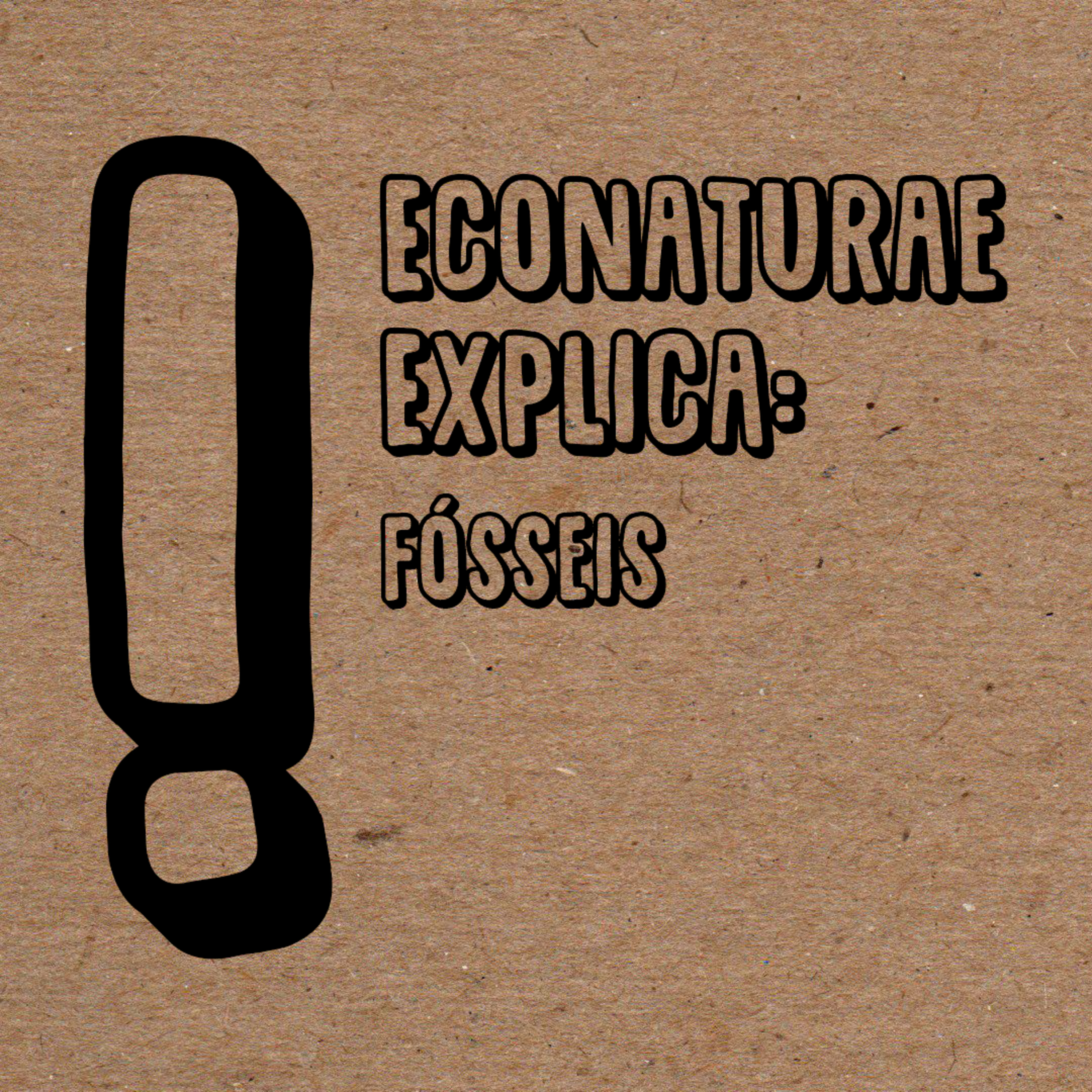 EcoNaturae - Educação Ambiental