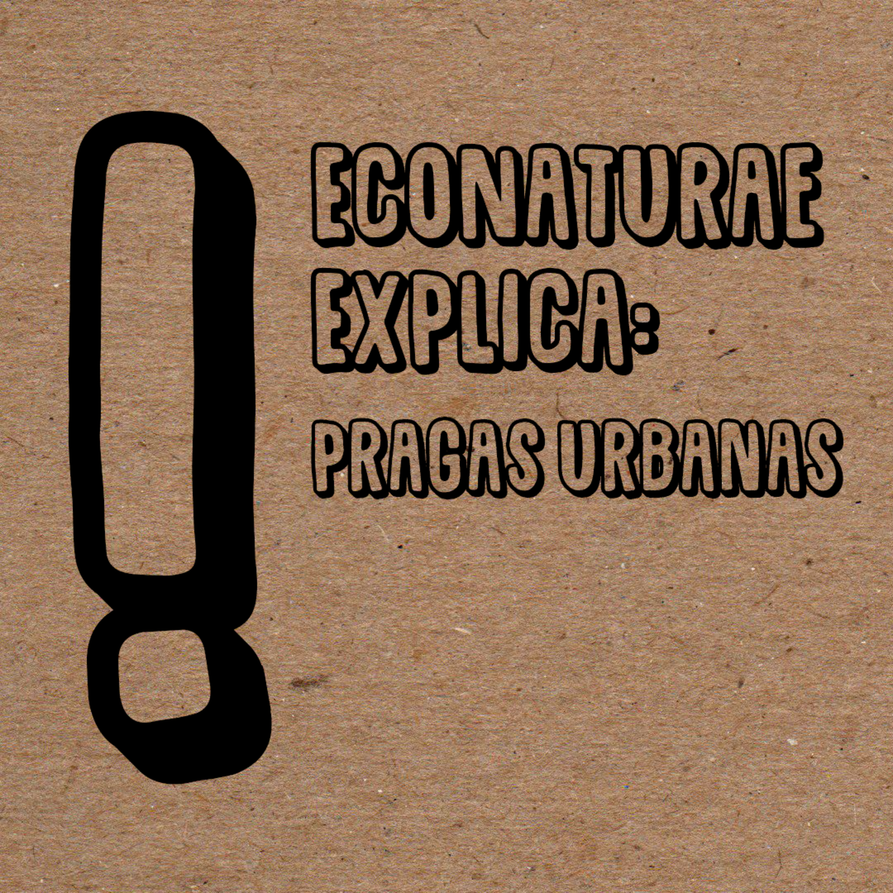 EcoNaturae - Educação Ambiental