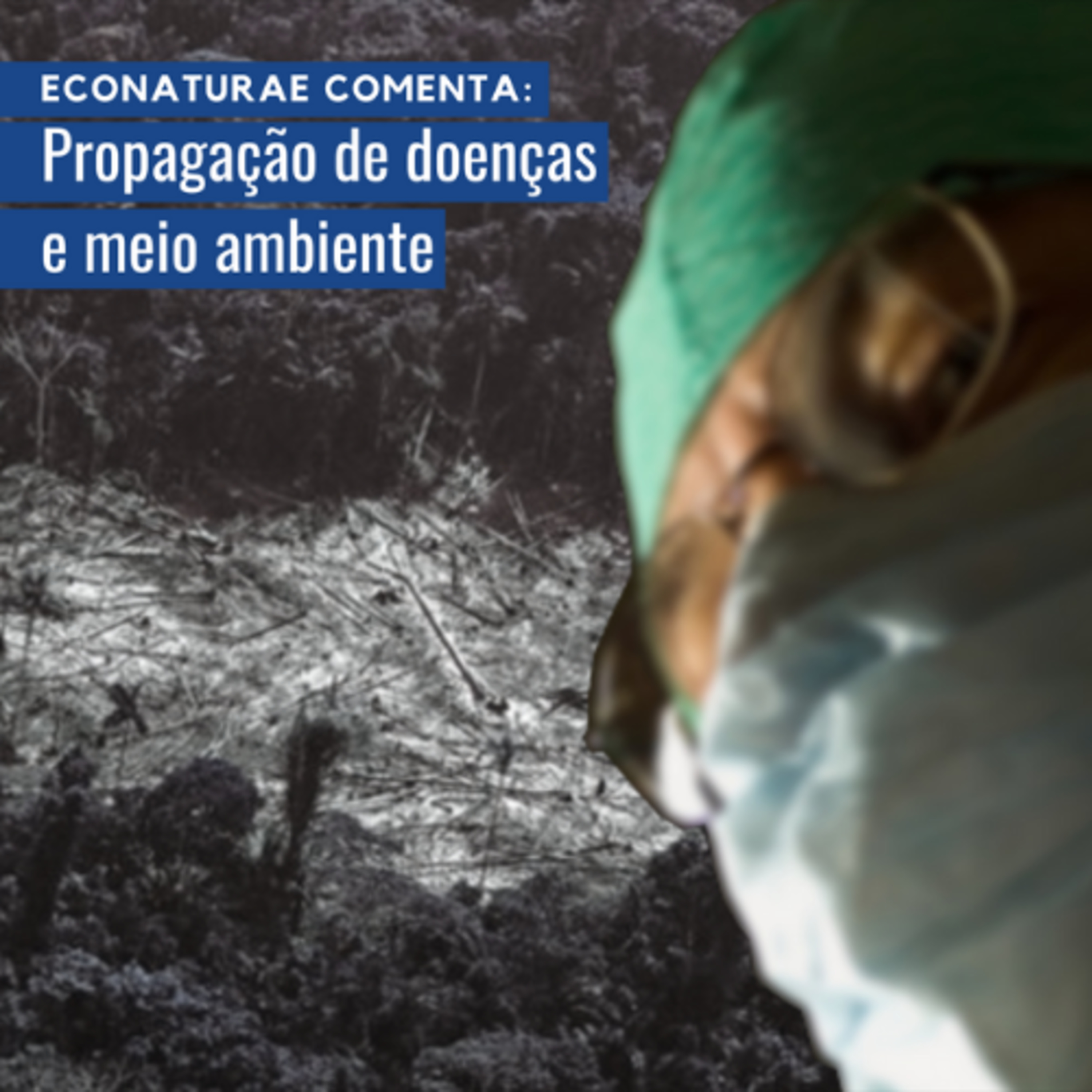 EcoNaturae - Educação Ambiental