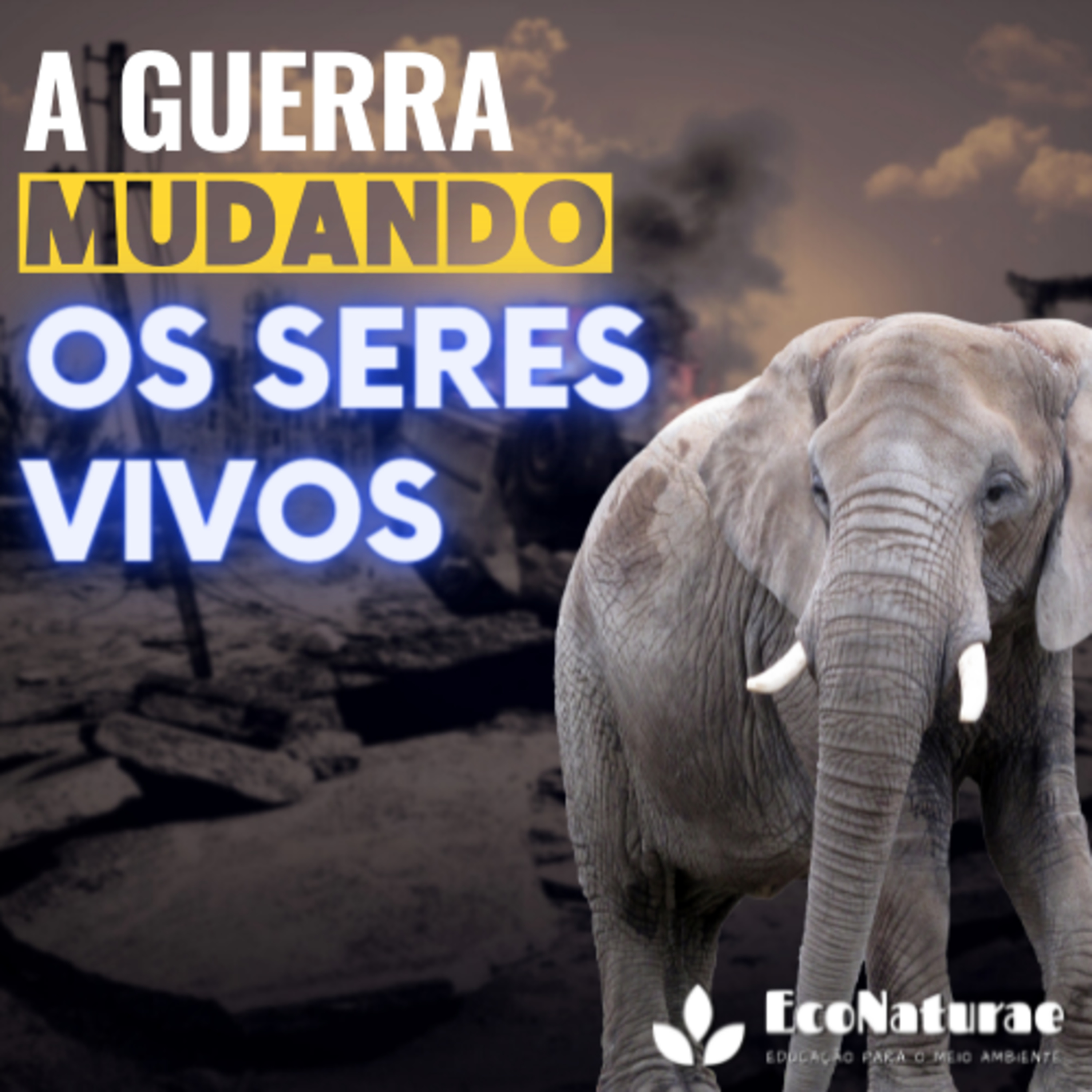 Os animais na guerra - EcoNaturae Comenta #011