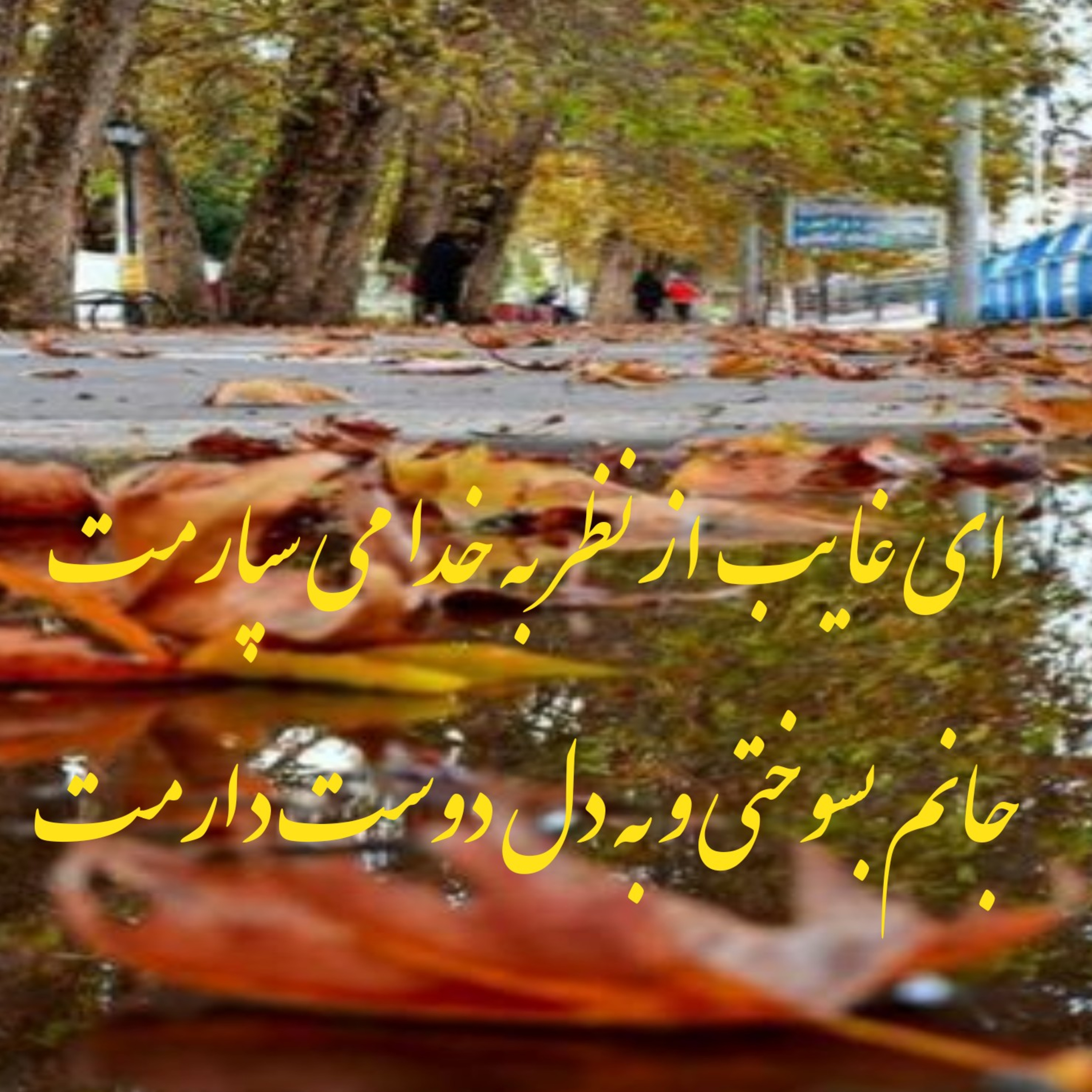 کاور به خدا می سپارمت