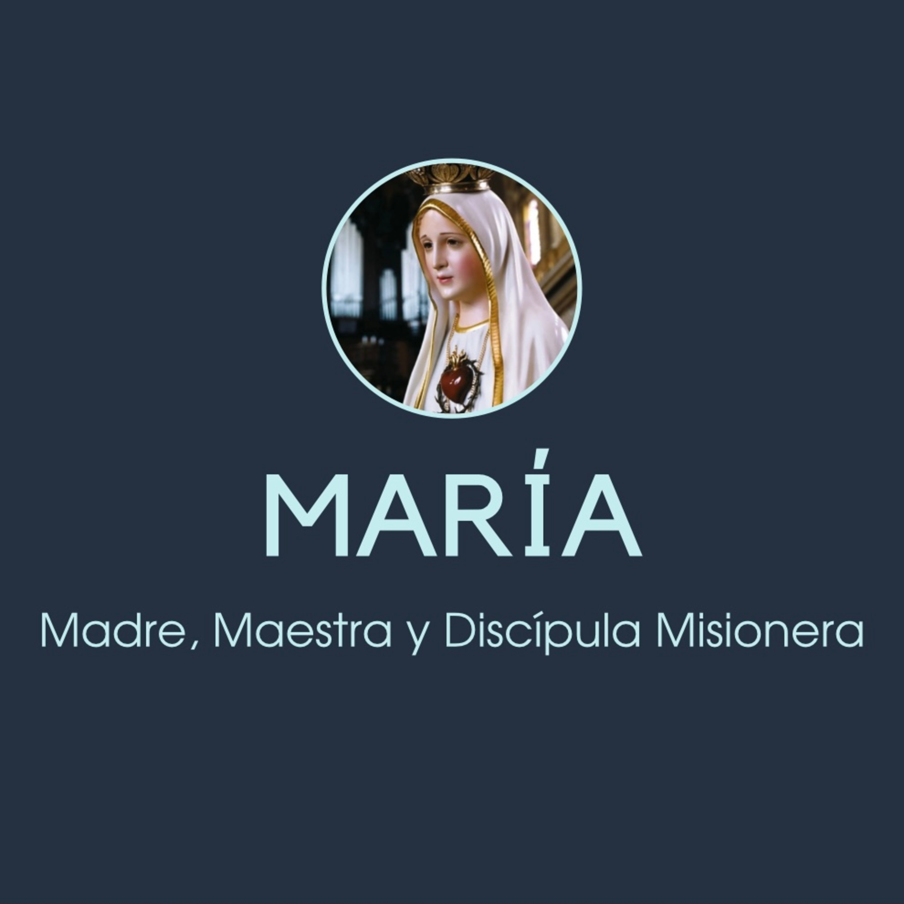 OMECOS Comunicando la Verdad