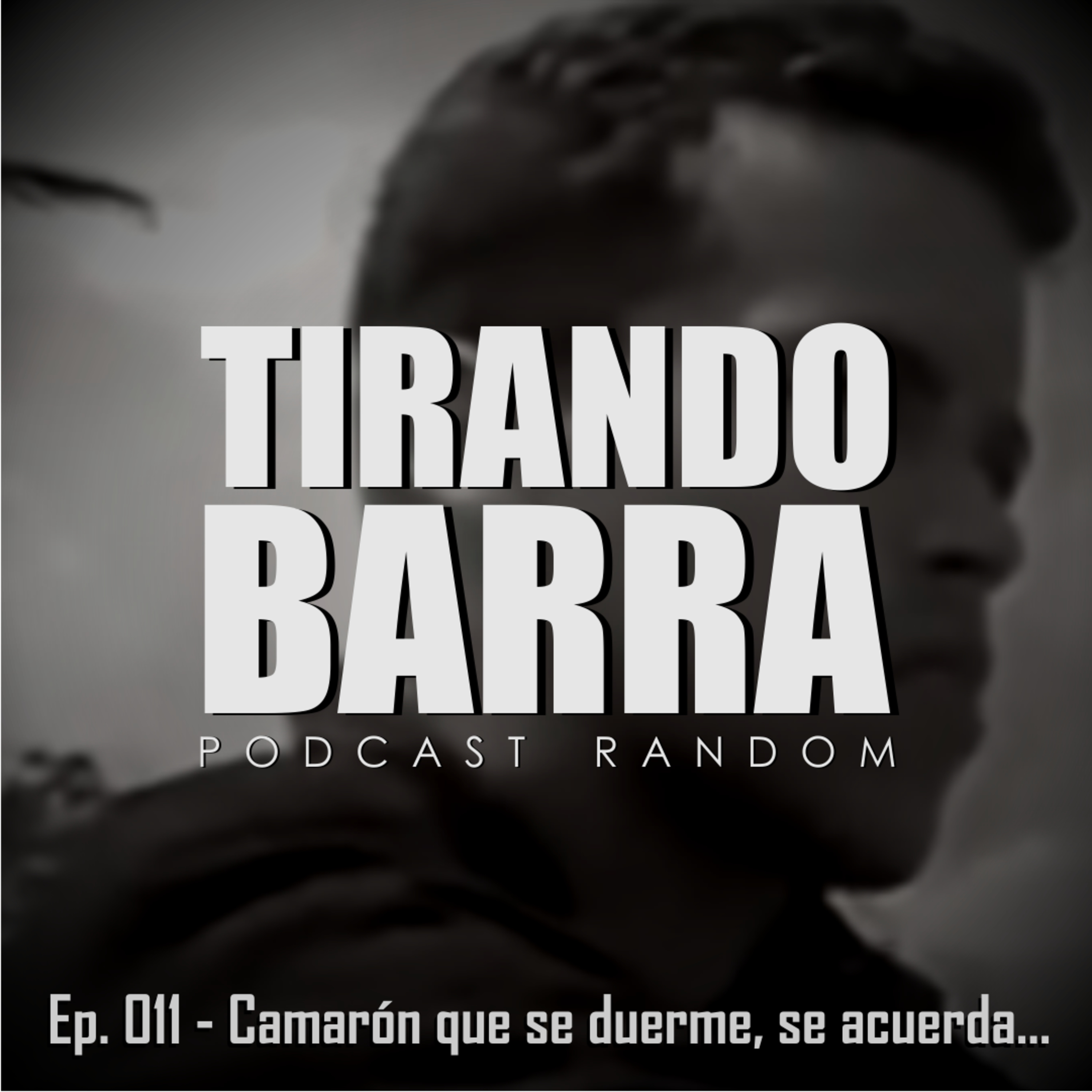 Camarón que se duerme, se acuerda... episode artwork