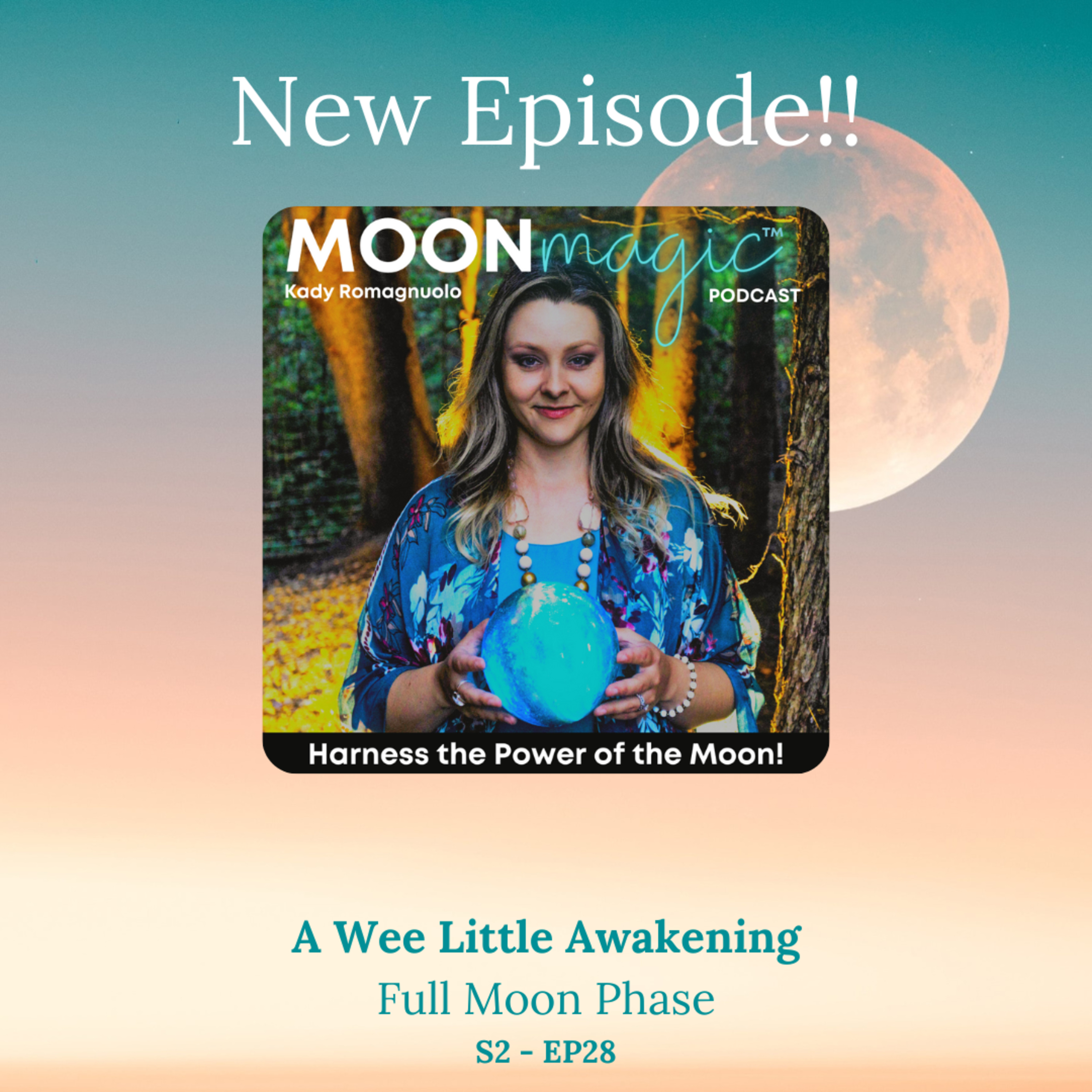 The Moonlogic® Podcast