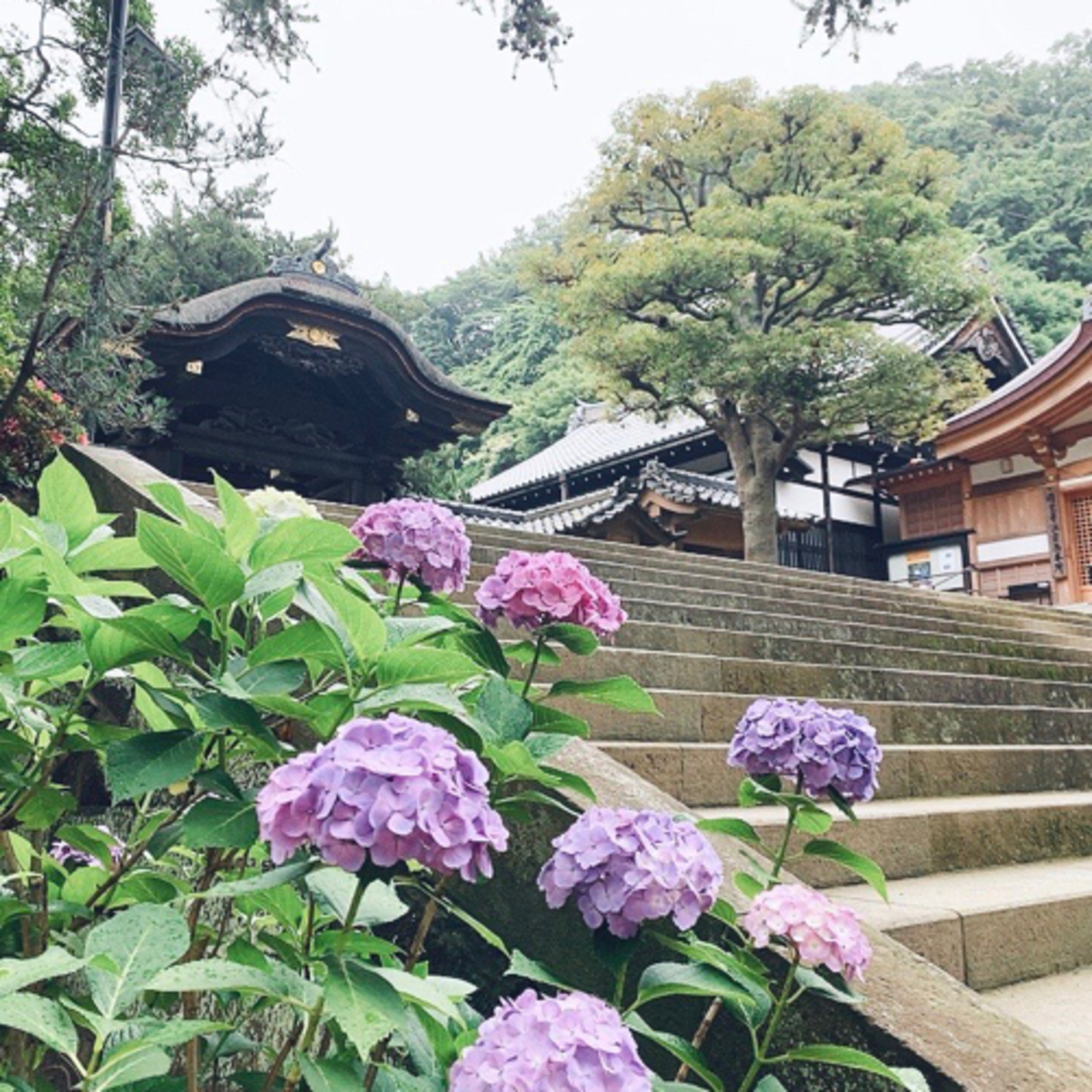 東京台灣女子俱樂部
