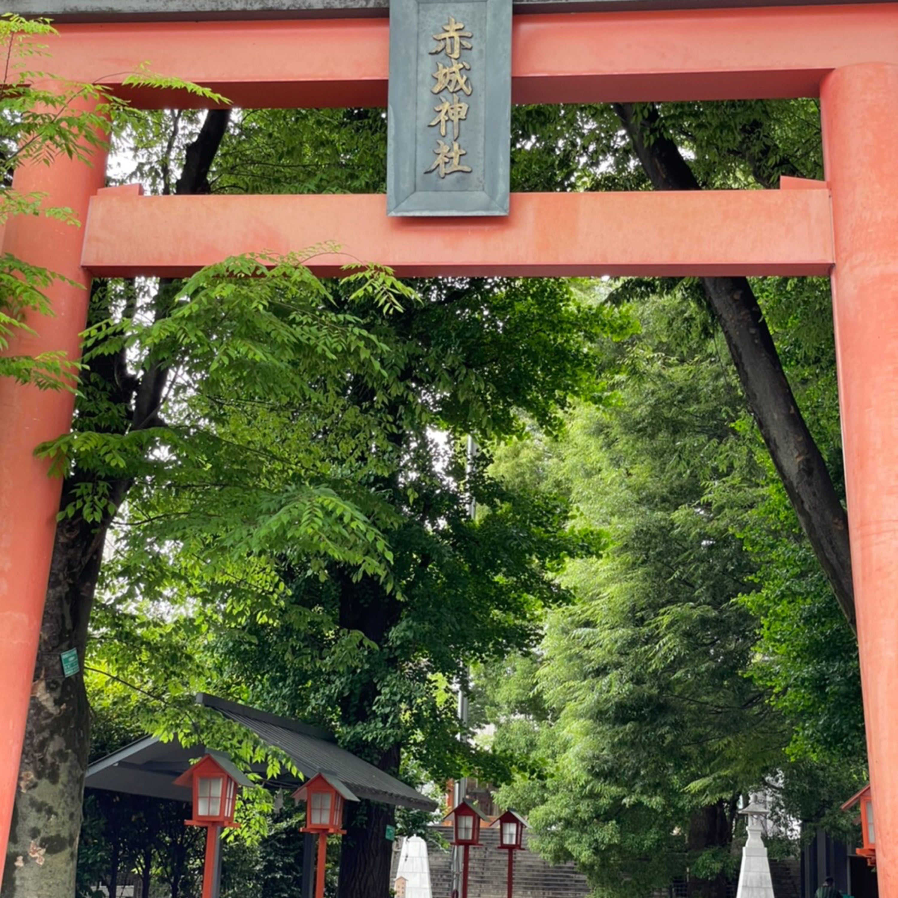 東京台灣女子俱樂部