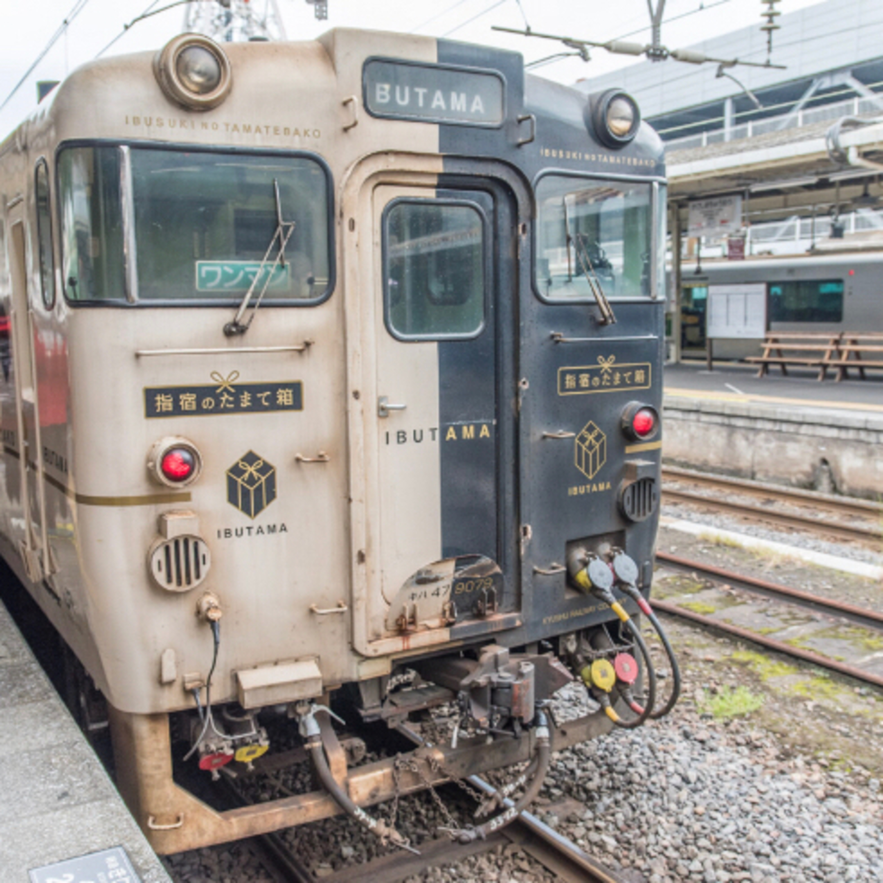 東京台灣女子俱樂部