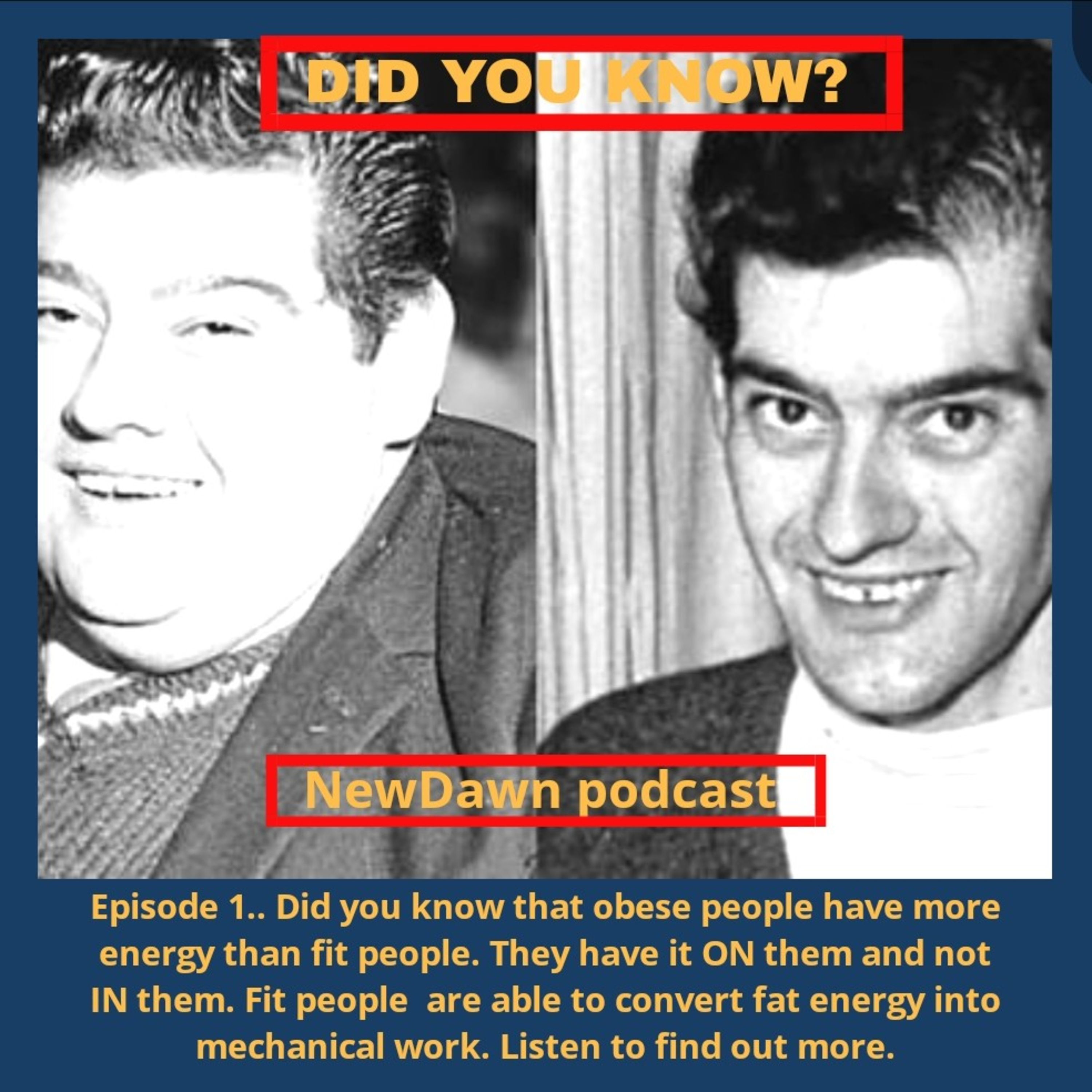 DID YOU KNOW 1. ENERGY... FAT ENERGY  episode artwork
