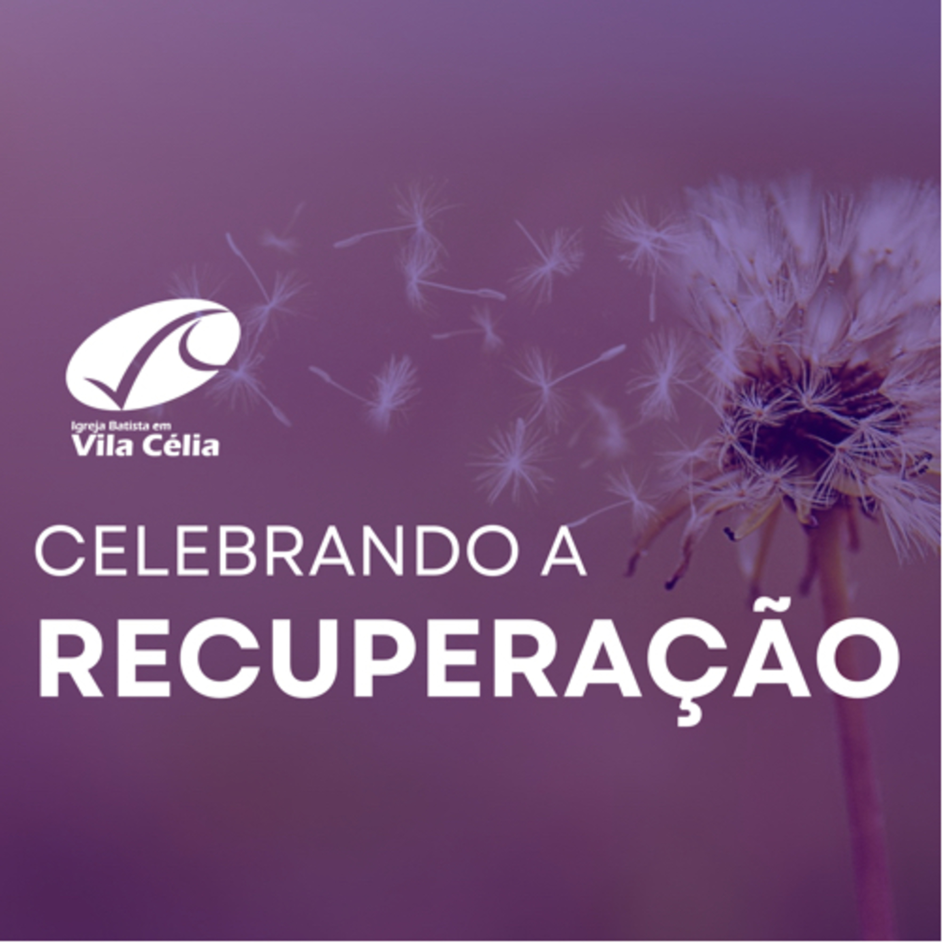 Vila PodCast!