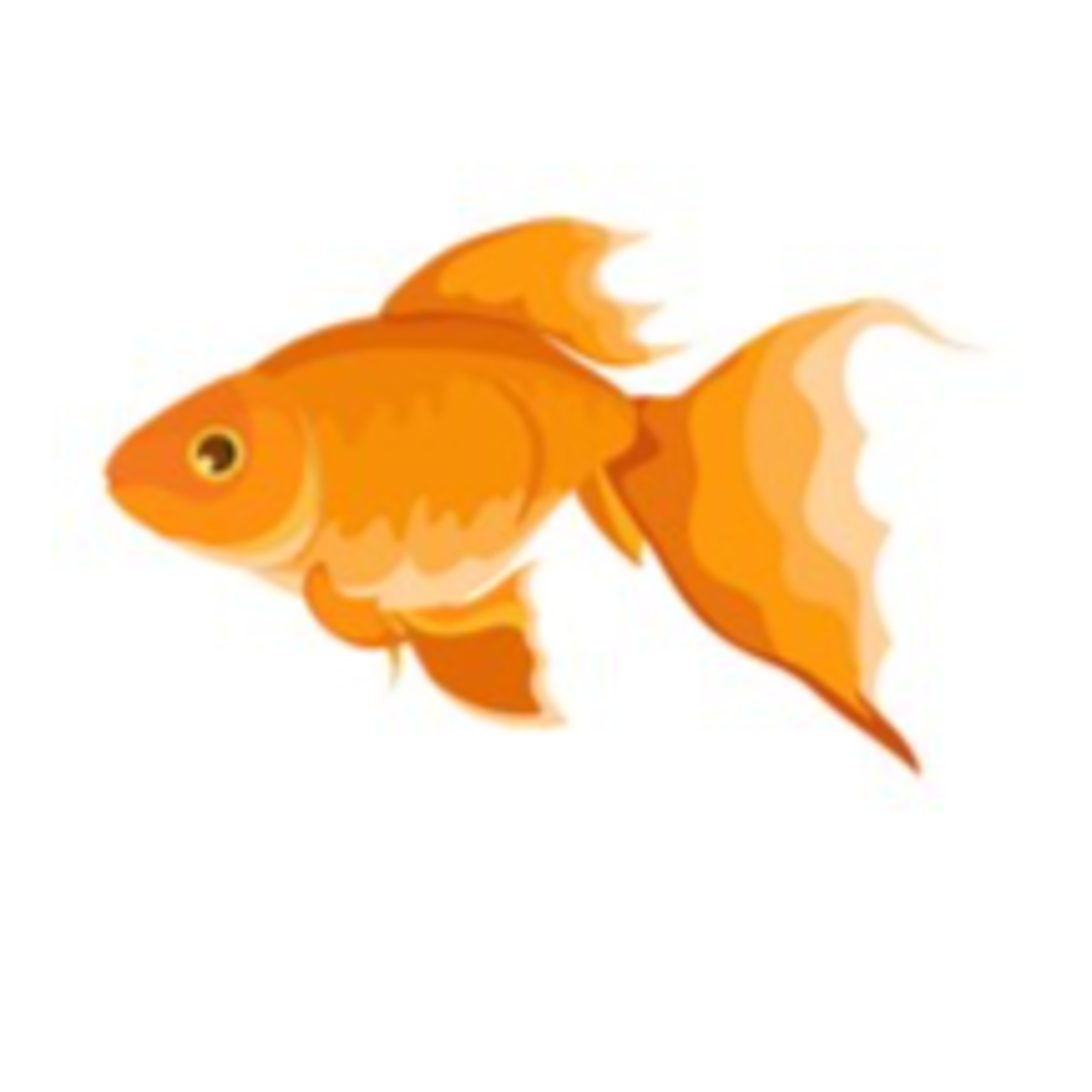 R/Am I The Asshole? Where an idiot kills a goldfish