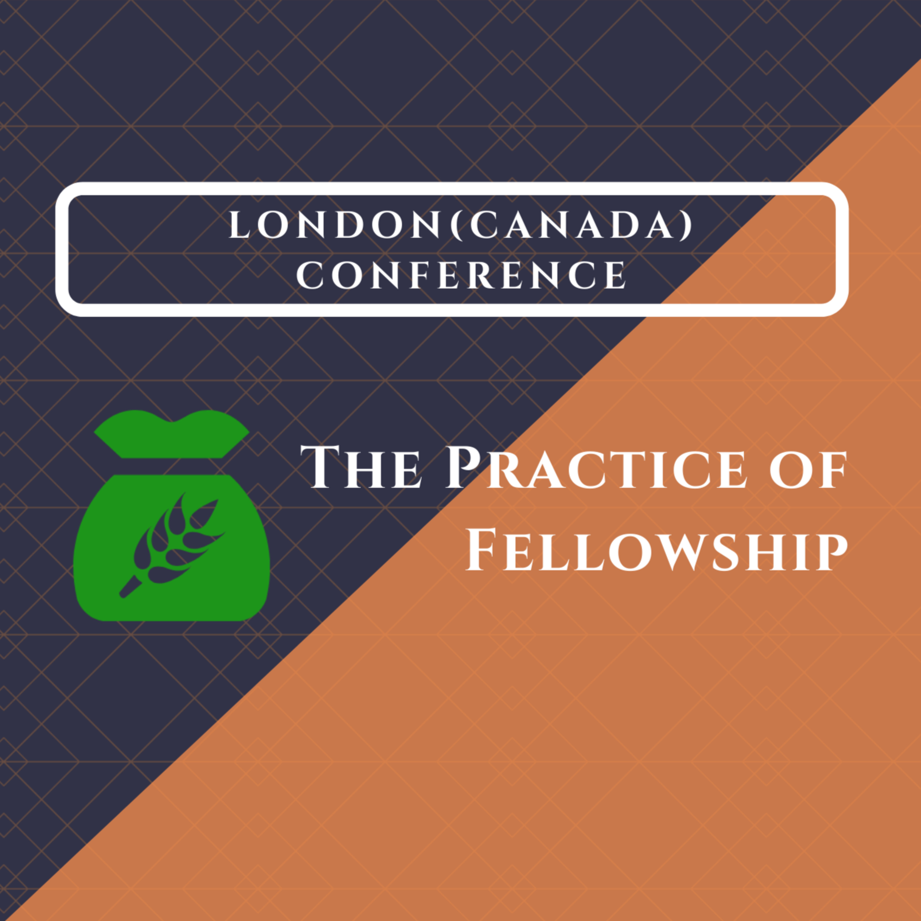 Session 2 - The Effect, Time and Place of Fellowship episode artwork