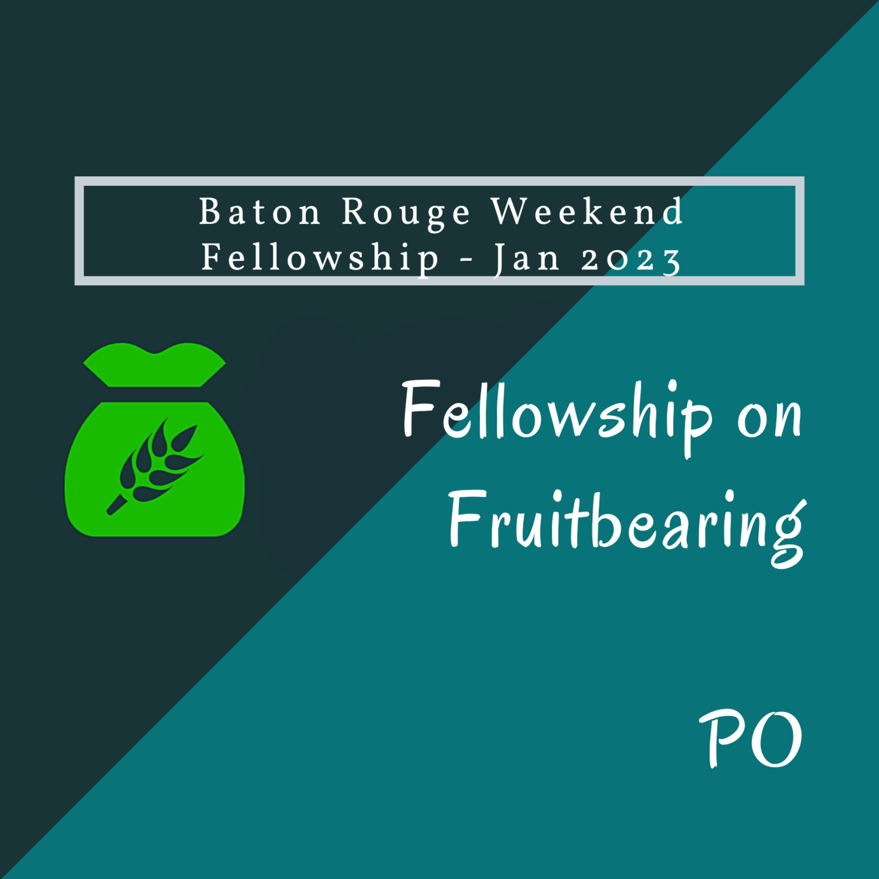 03 - A Vision of the Vital Groups - Preparation, Producing, Practice, and Profit and Why We Have Not Picked Them Up