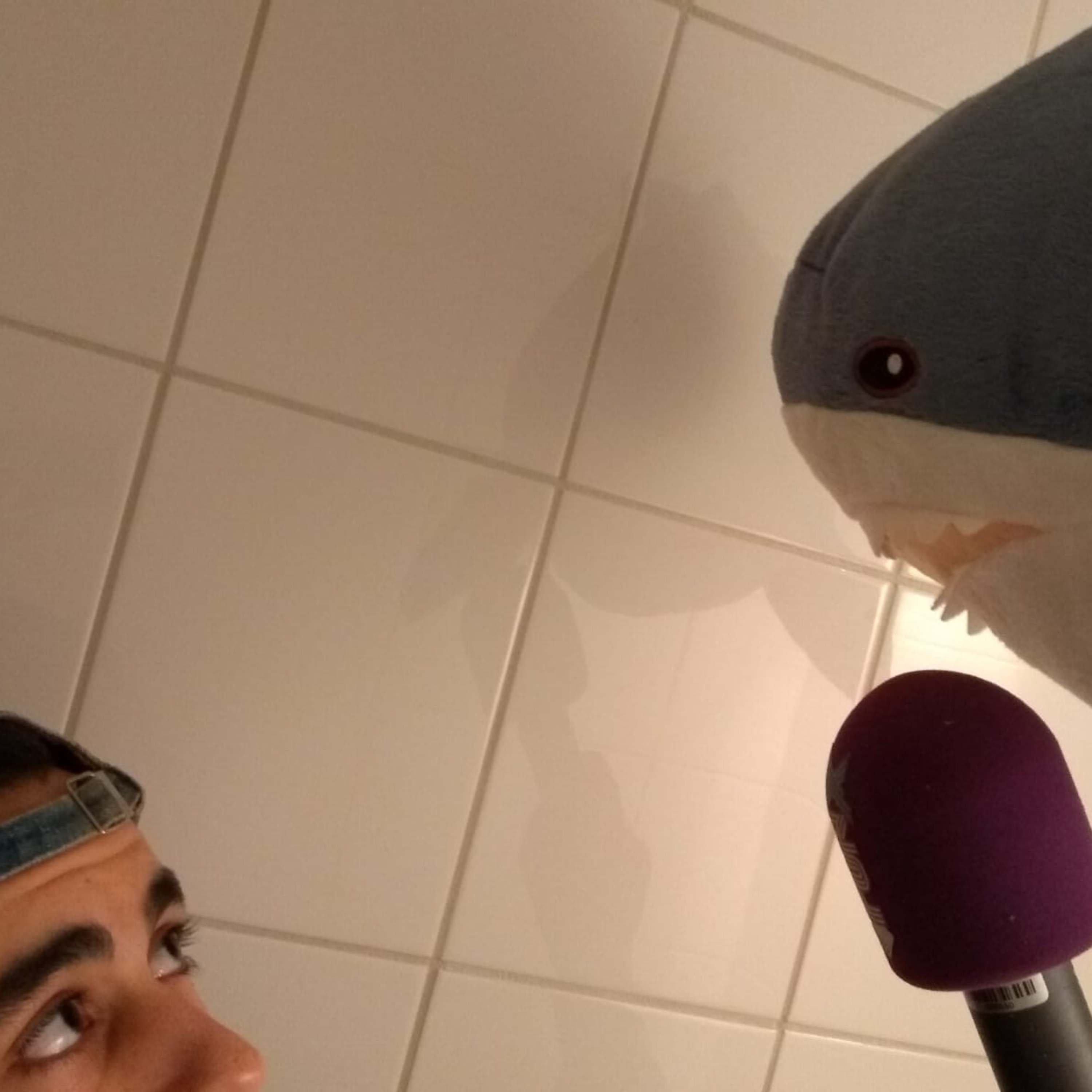 WAAR IS DE MIC?!