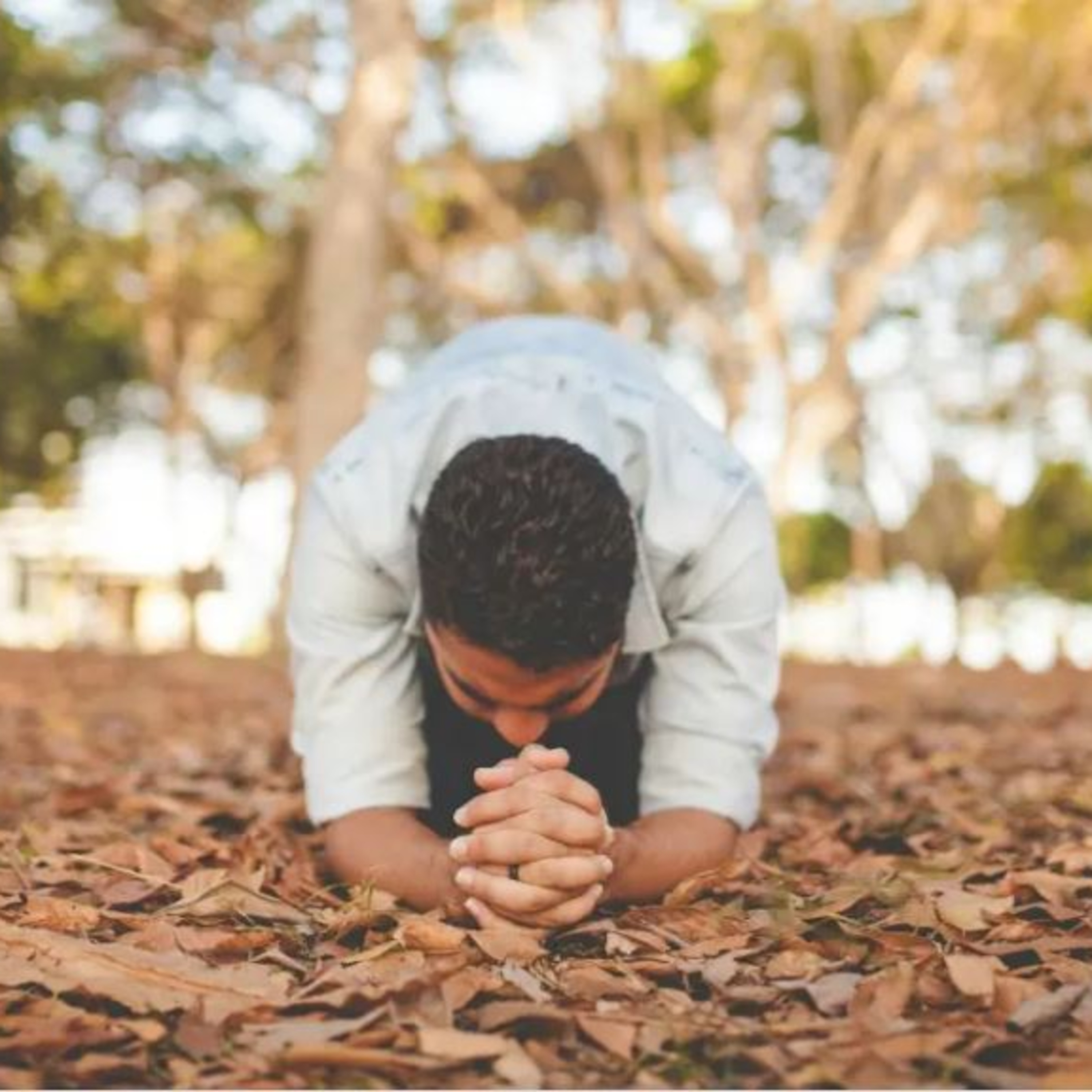 Curso de Biblia