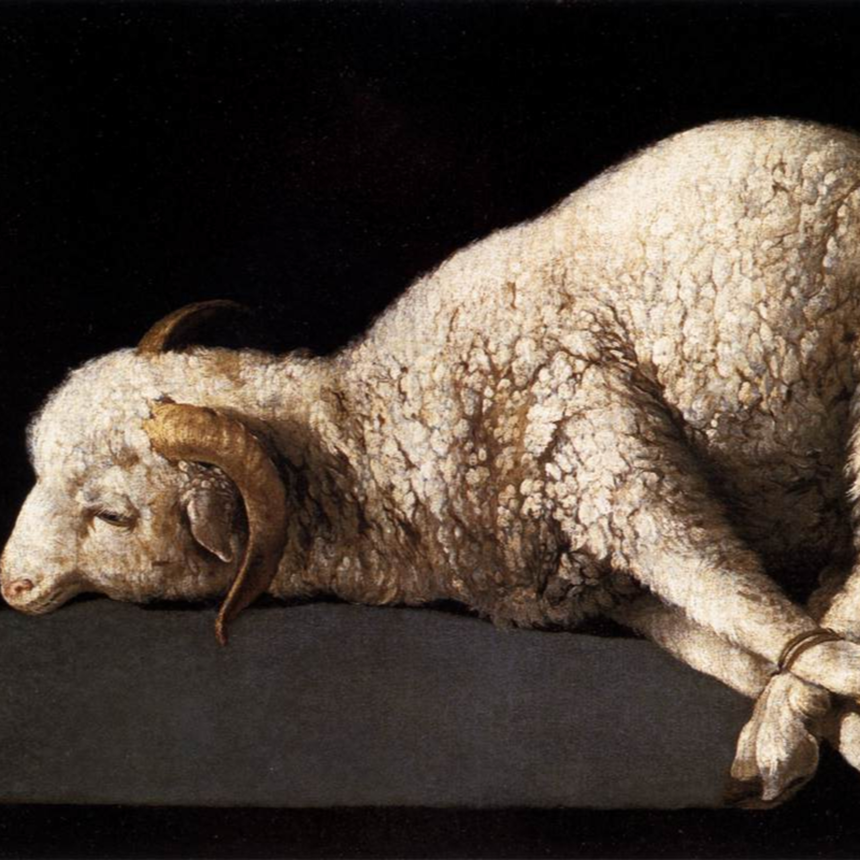 Curso de Biblia