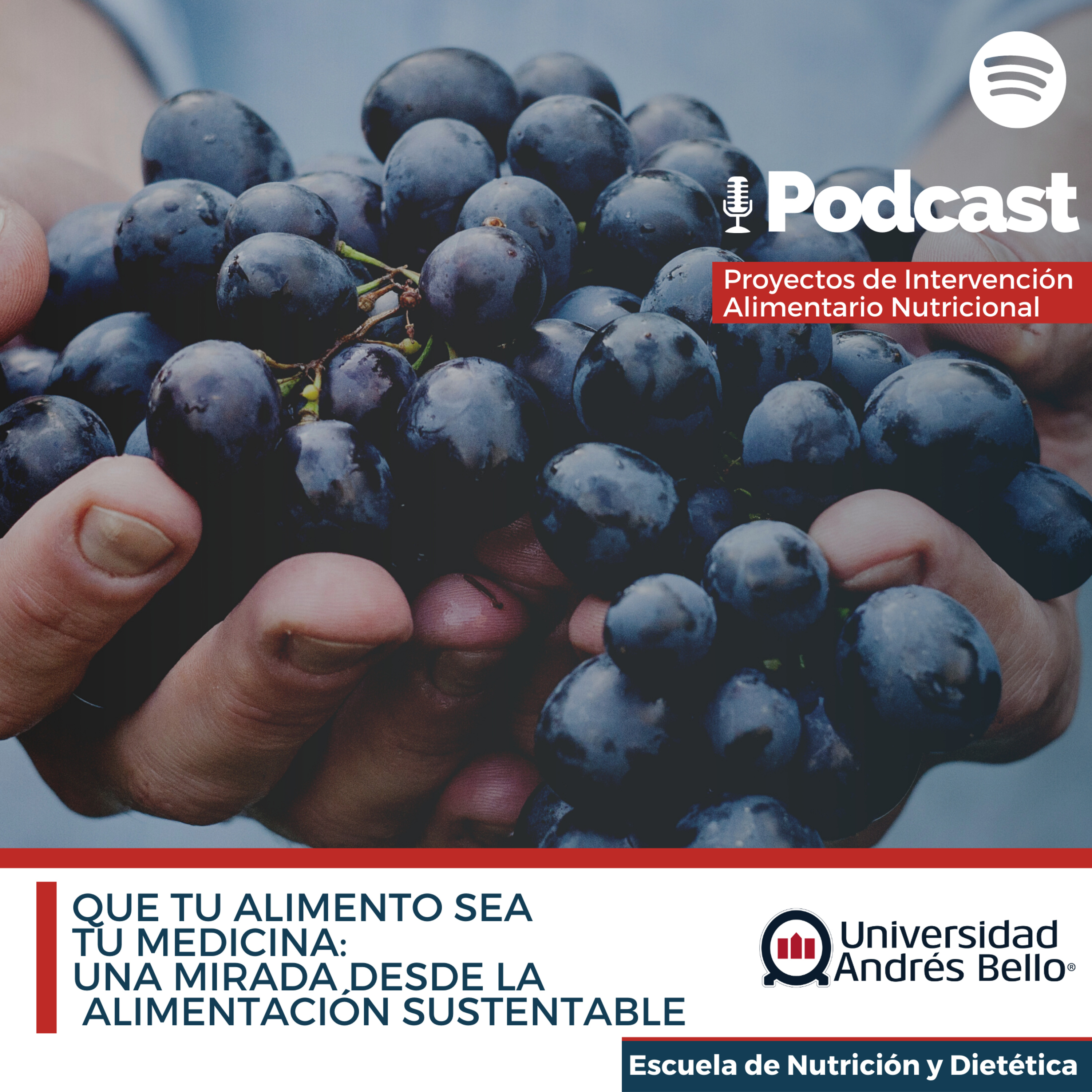 Proyecto de Intervención Alimentario Nutricional- UNAB