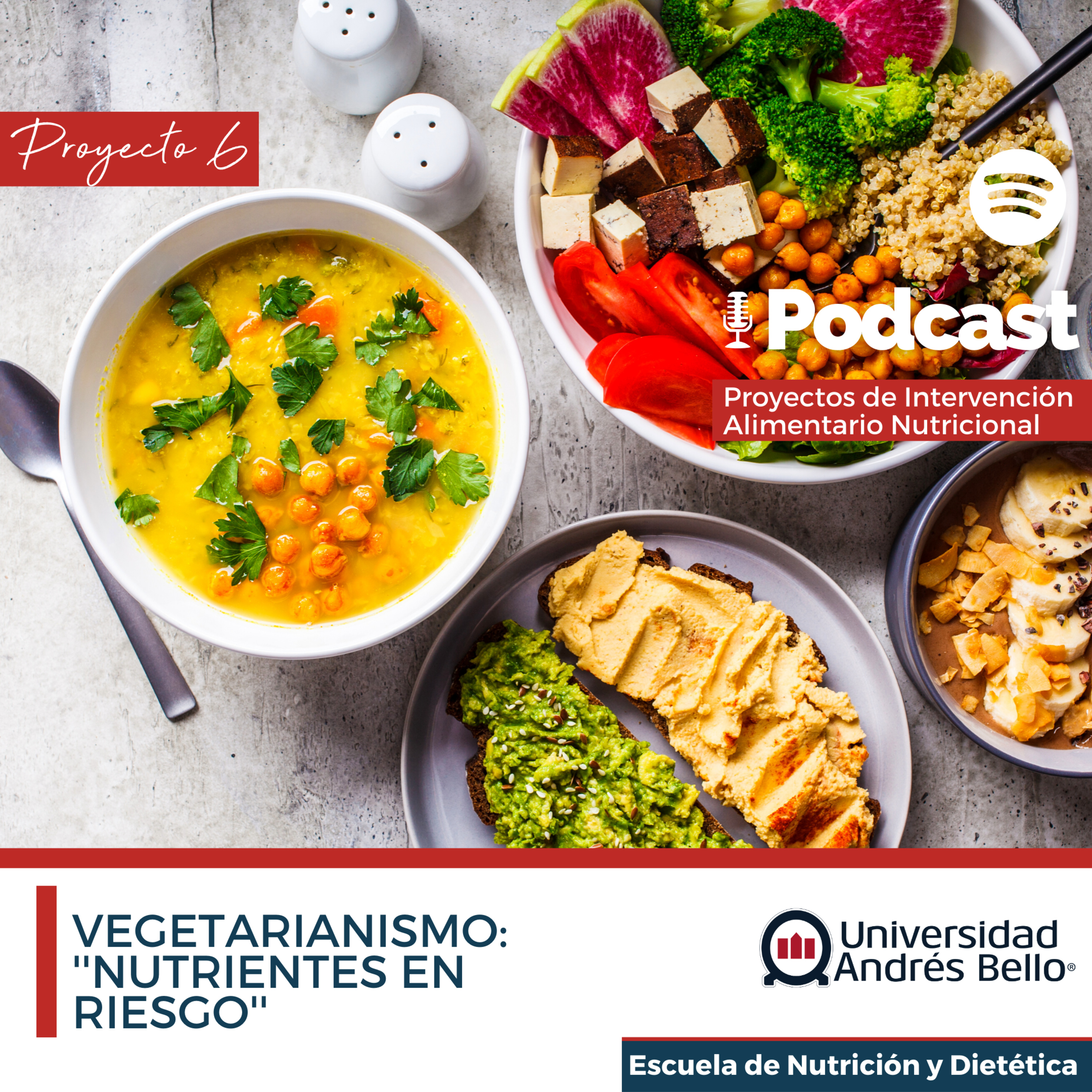 Proyecto de Intervención Alimentario Nutricional- UNAB