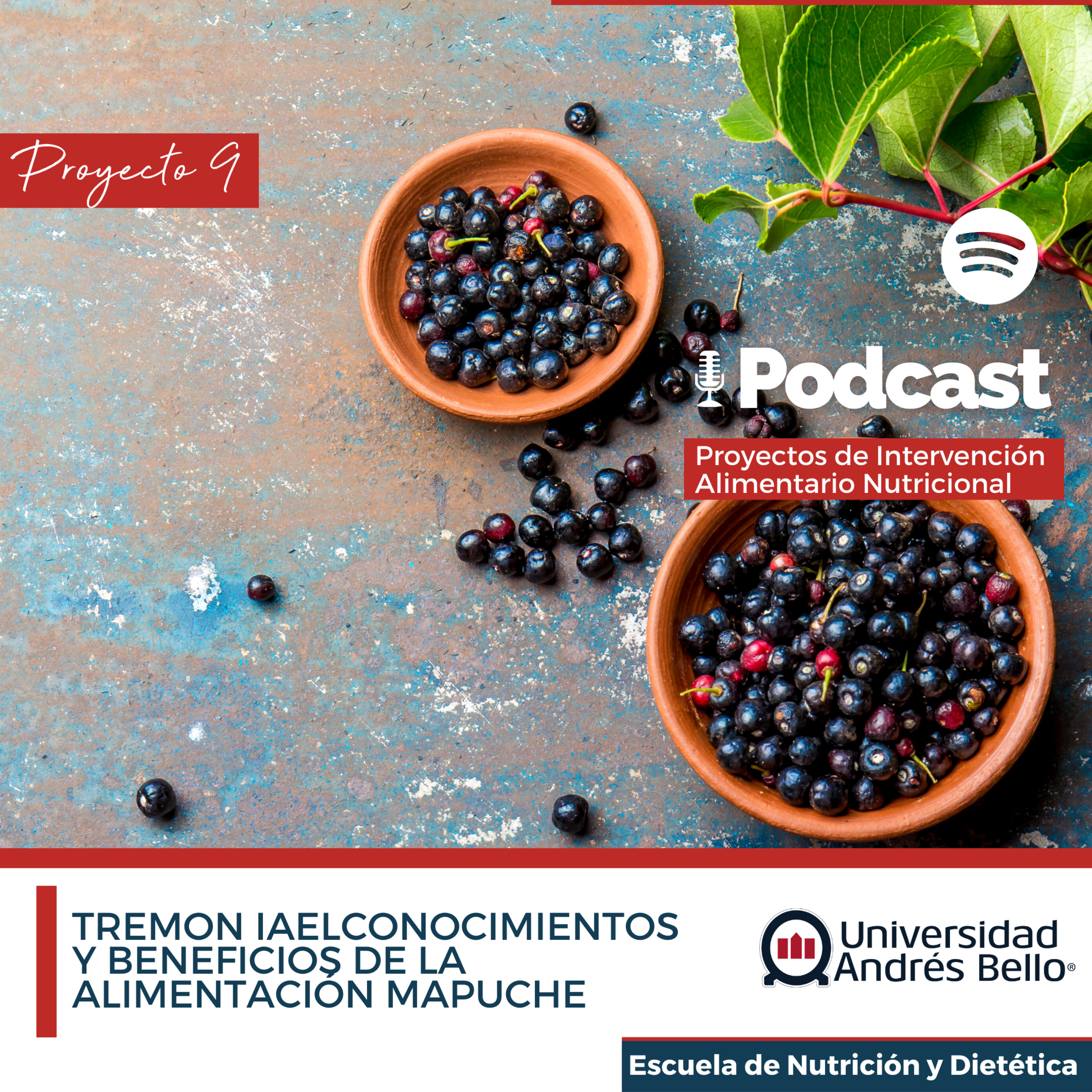 Proyecto de Intervención Alimentario Nutricional- UNAB