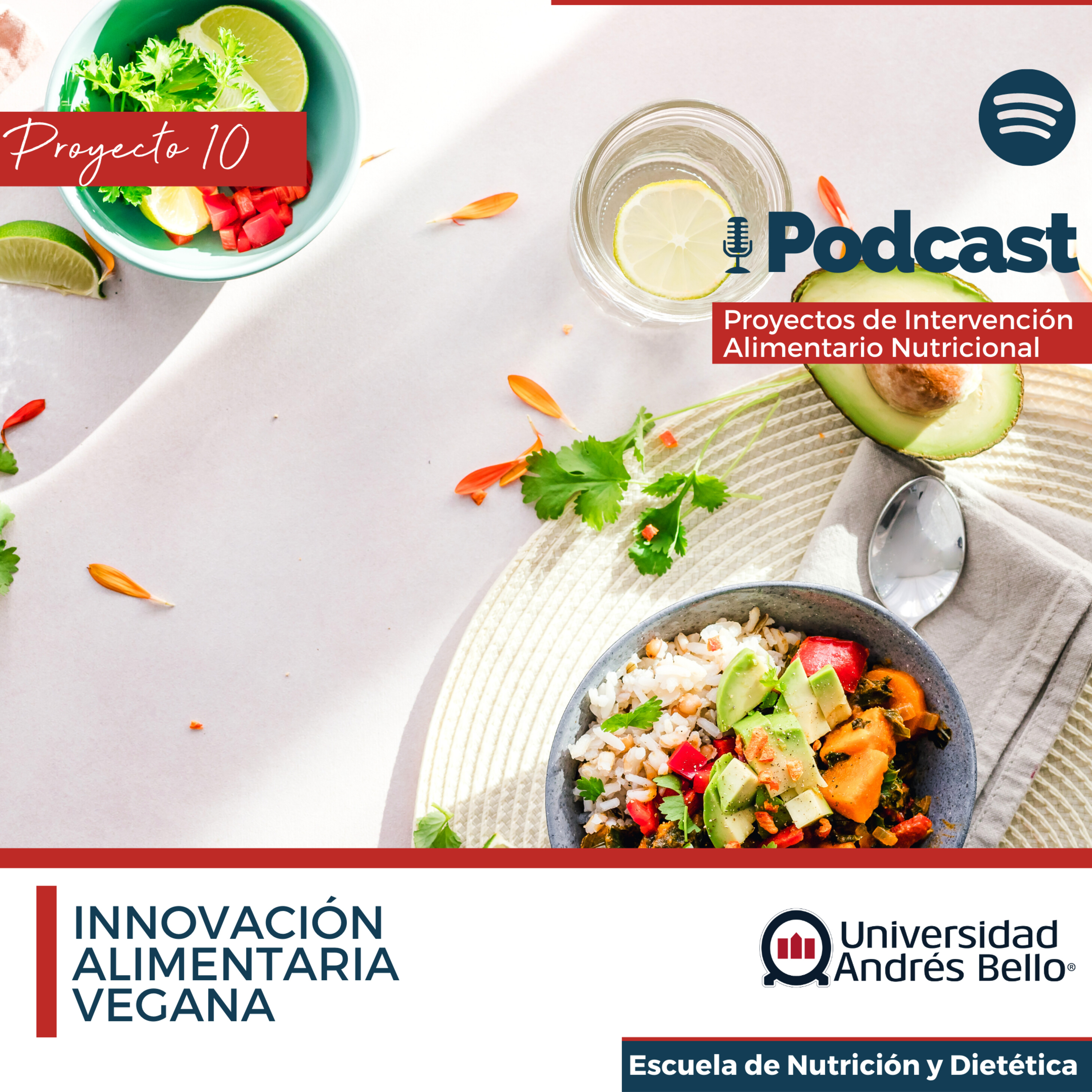 Proyecto de Intervención Alimentario Nutricional- UNAB