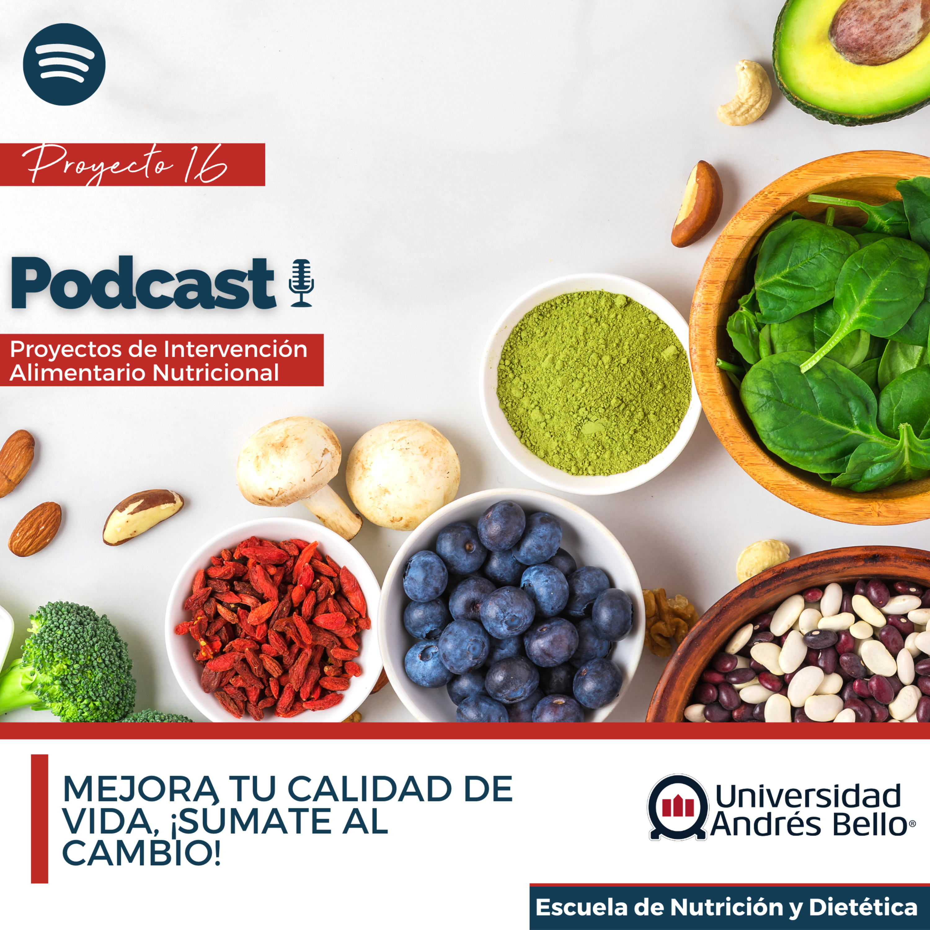 Proyecto de Intervención Alimentario Nutricional- UNAB