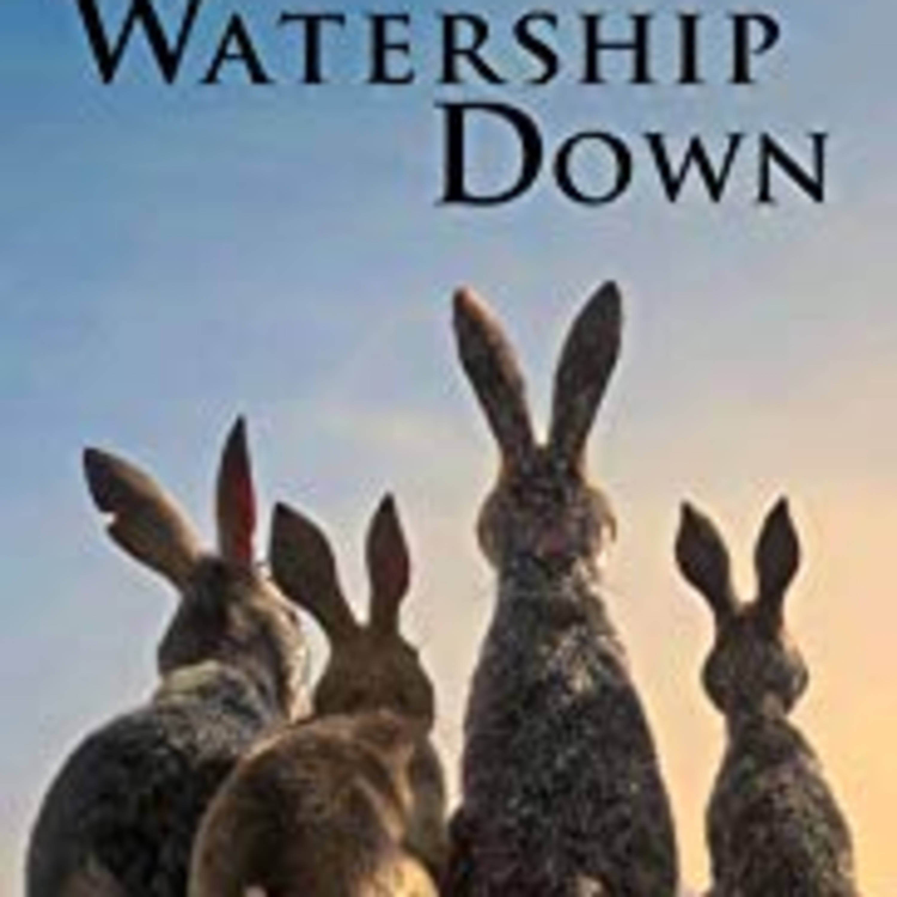 Watership Down 2018 Review  episode artwork