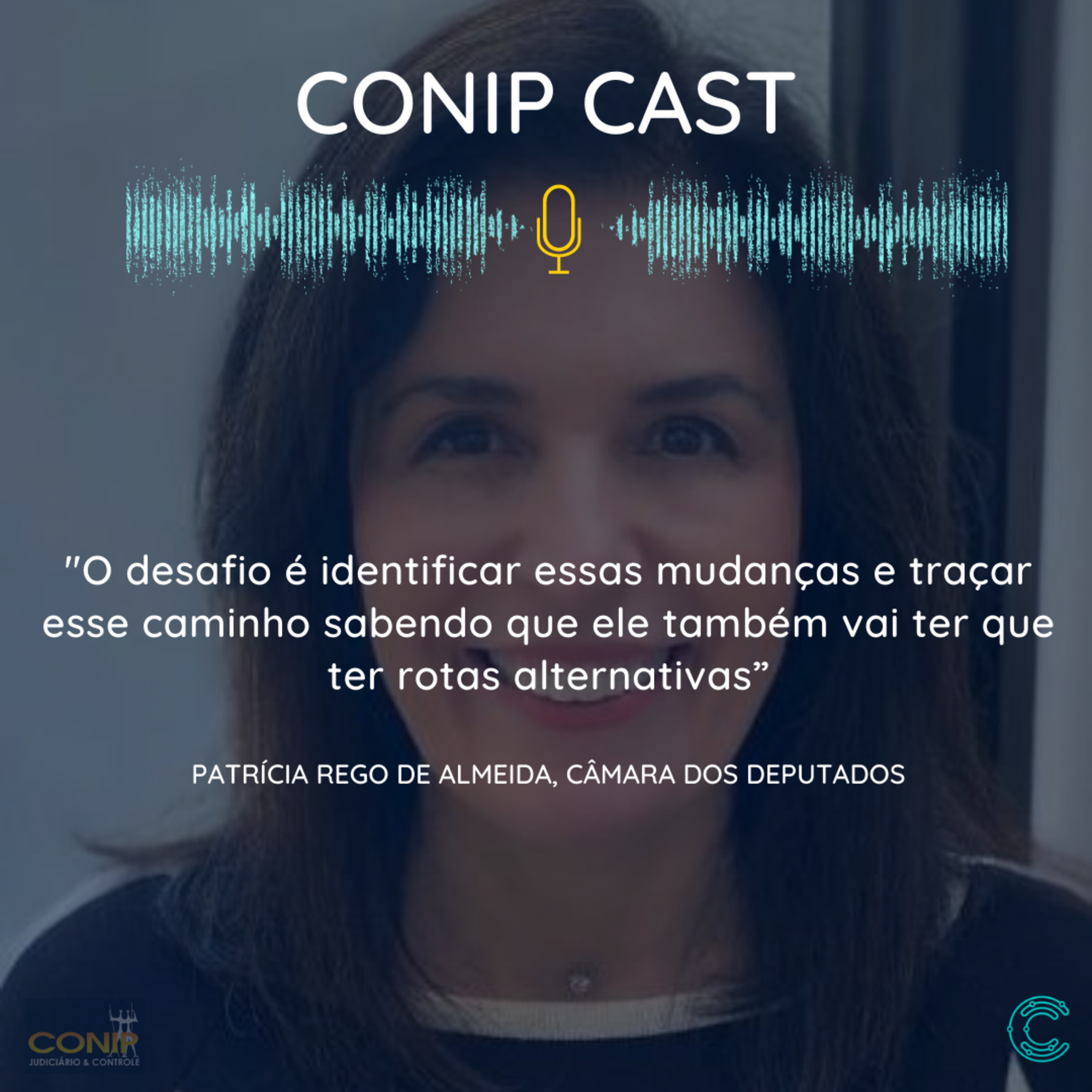 CONIP JUDICIÁRIO E CONTROLE