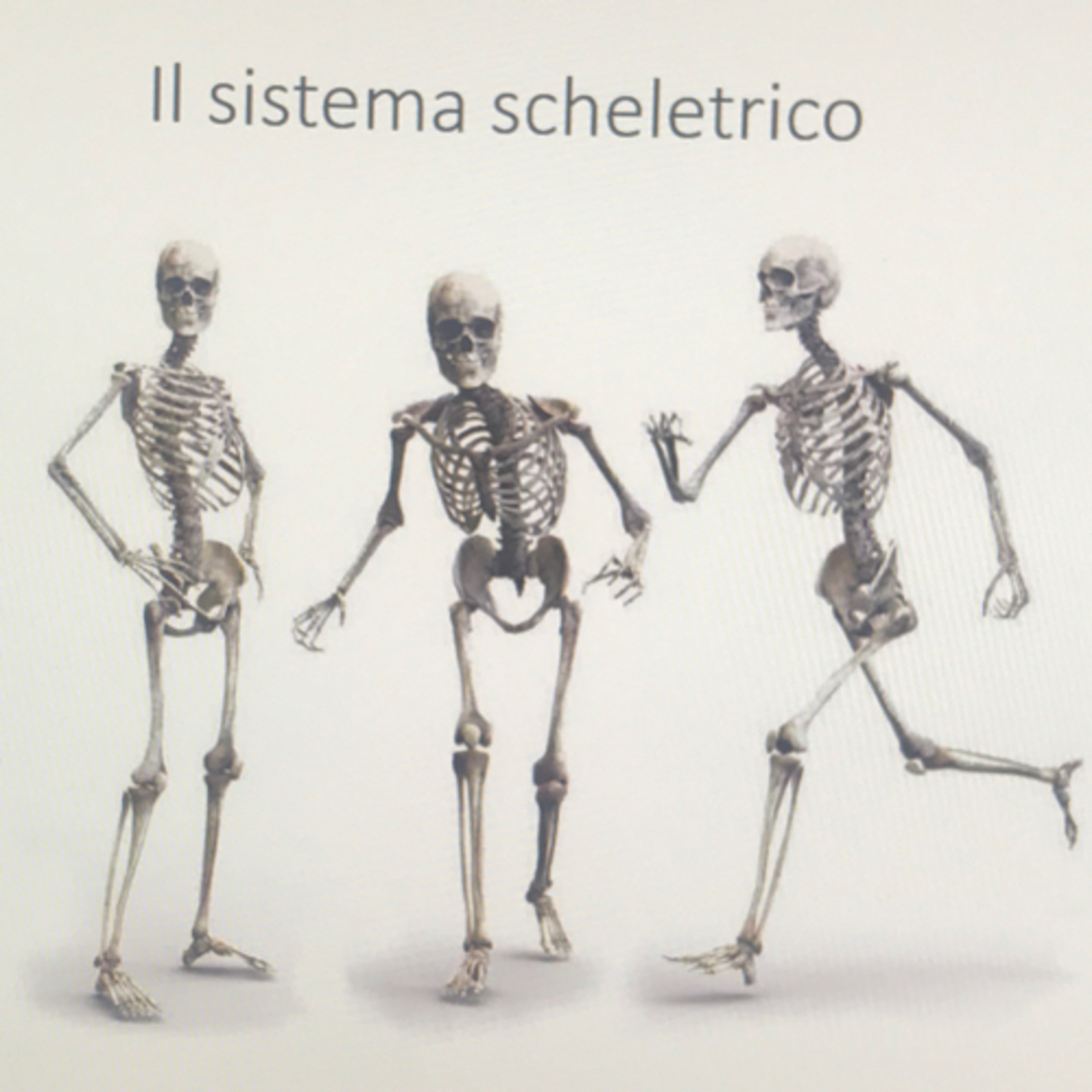Scienze motorie