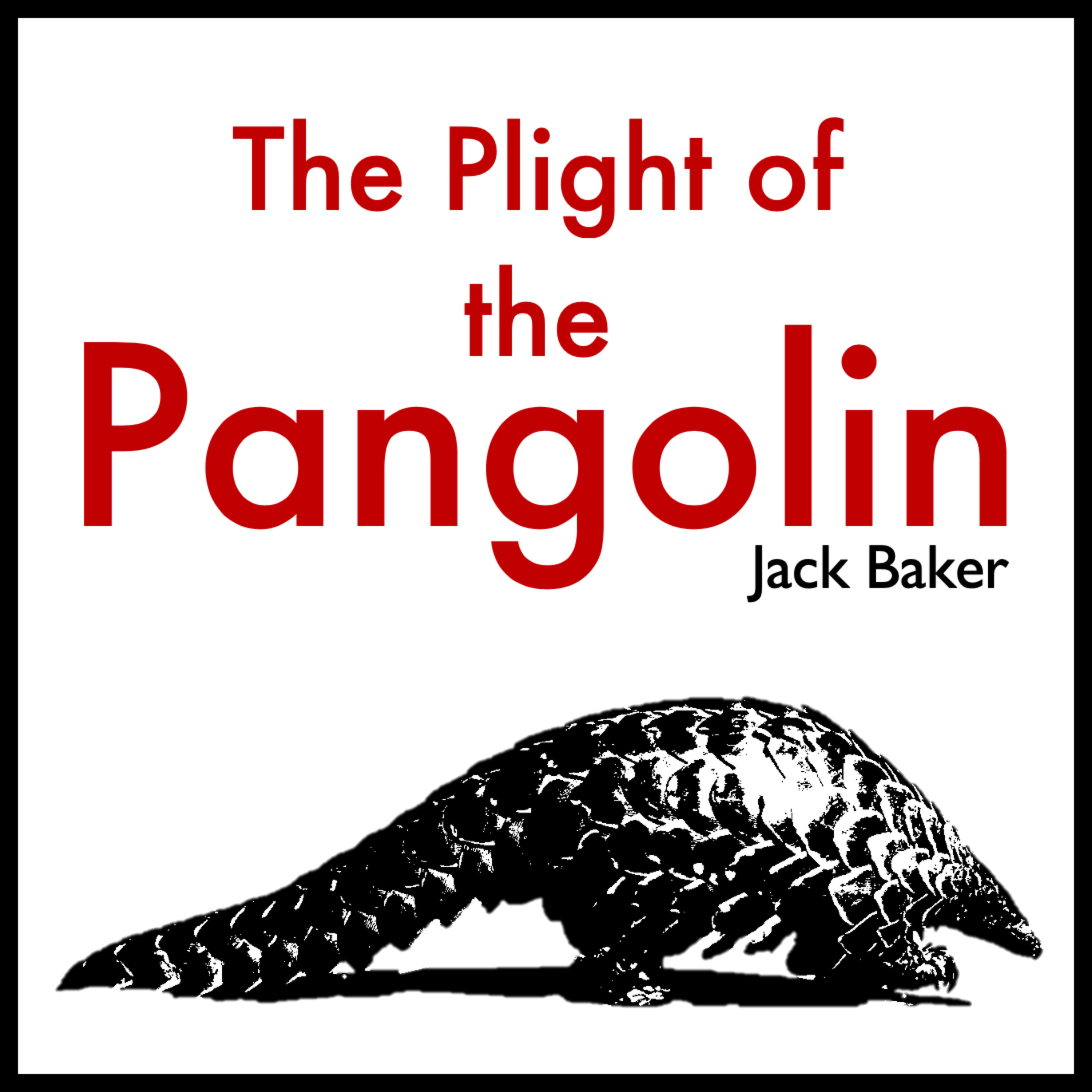 Pangolin: The Conservation Podcast