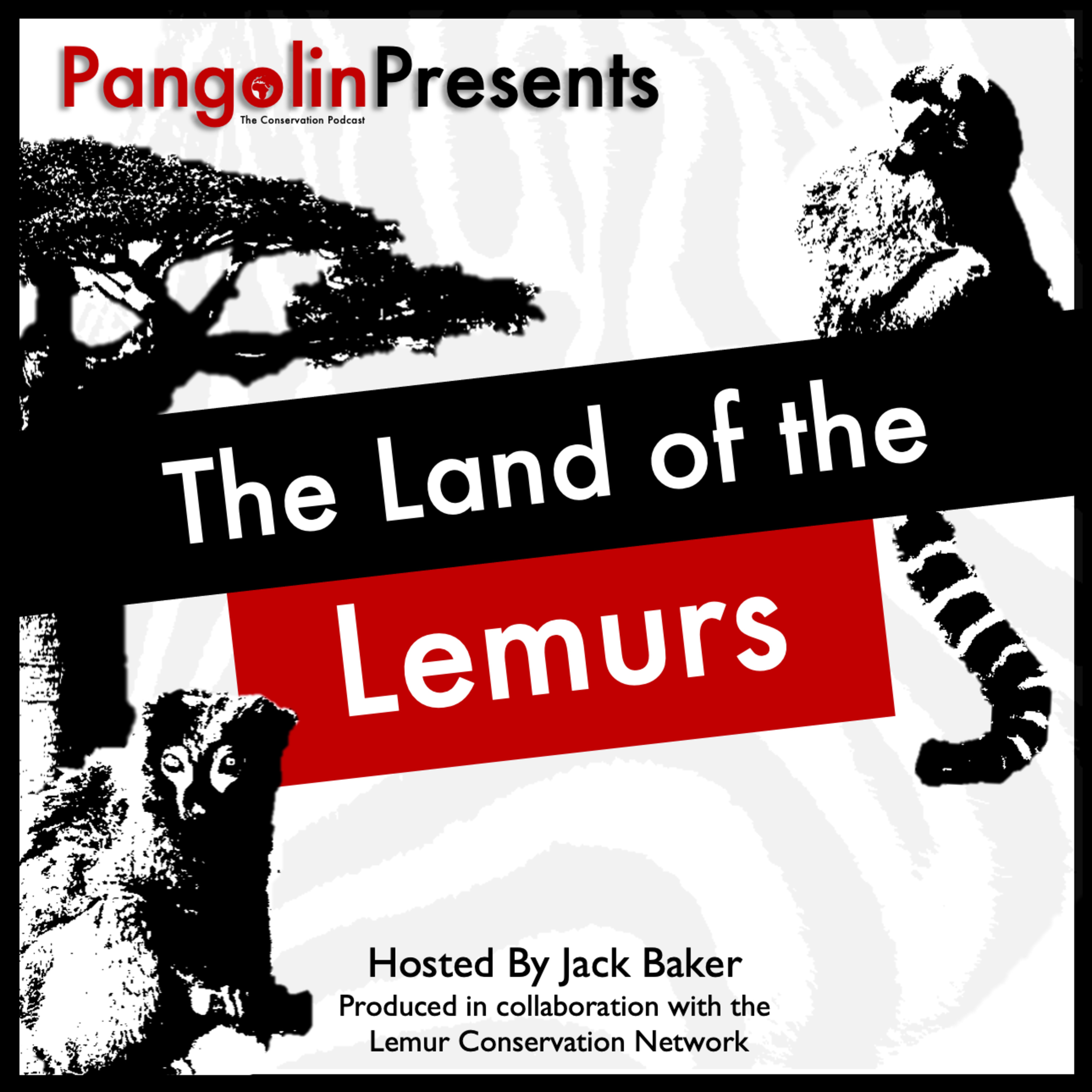 Pangolin: The Conservation Podcast