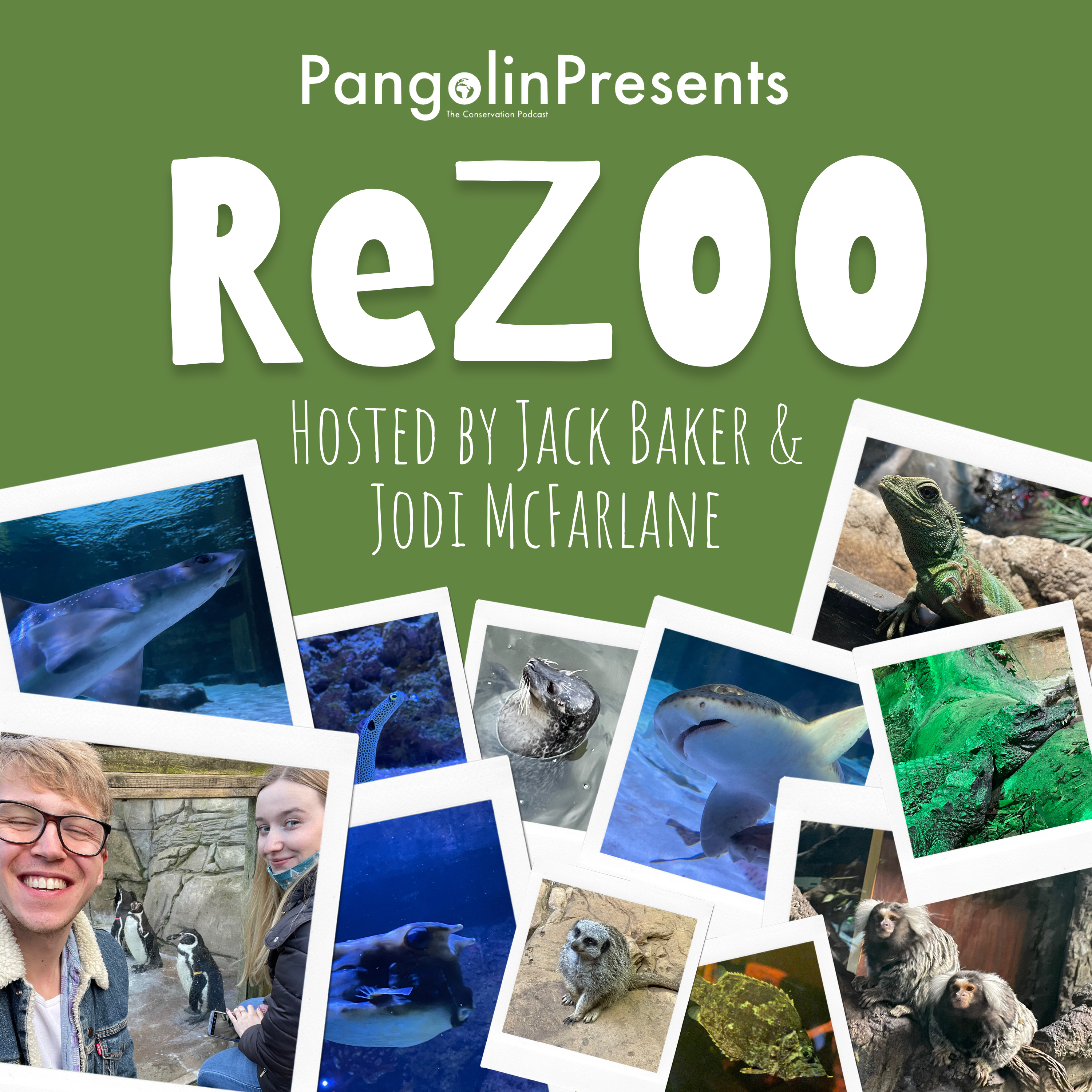 Pangolin: The Conservation Podcast
