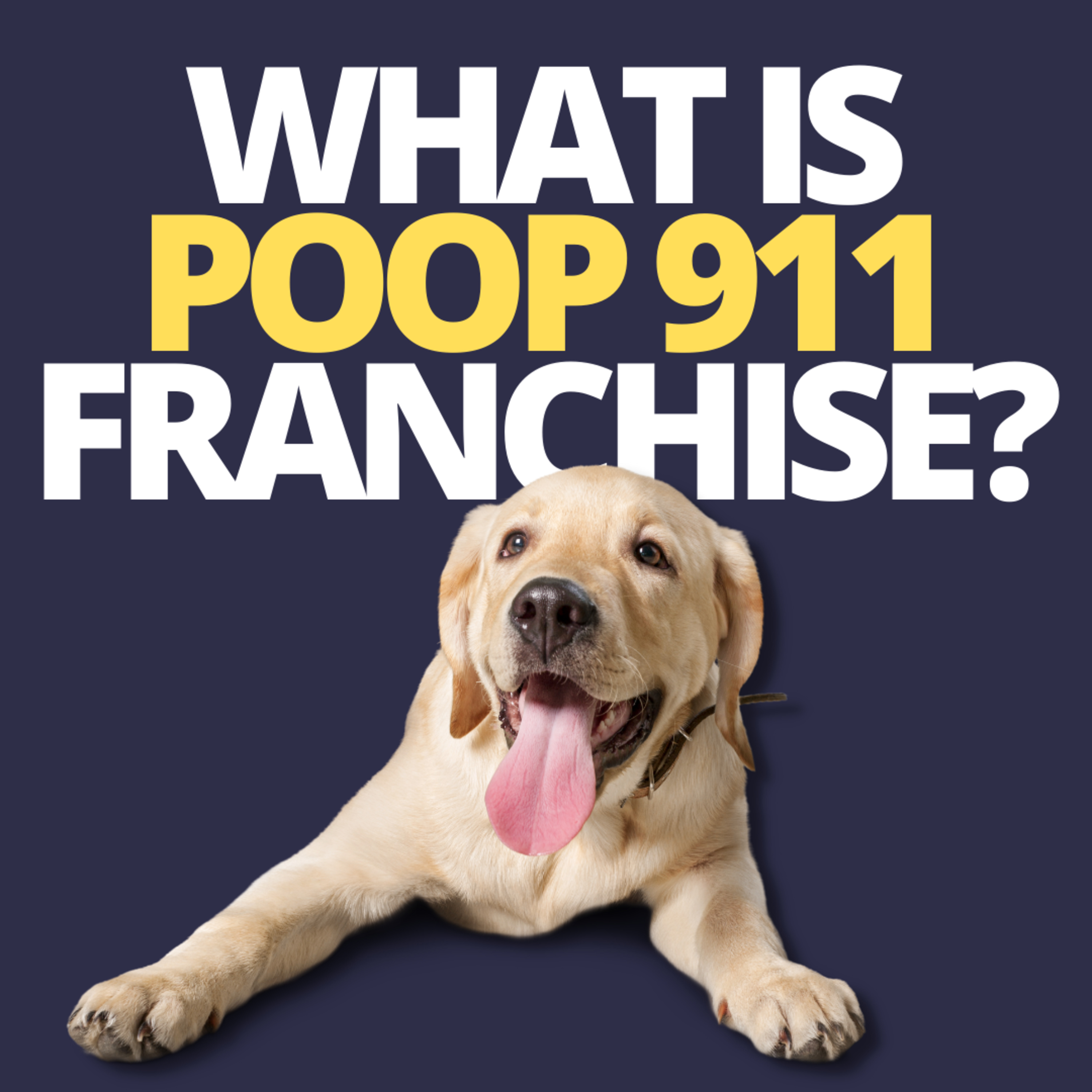 cover of episode Waste Removal Service Franchise: Poop 911 Review