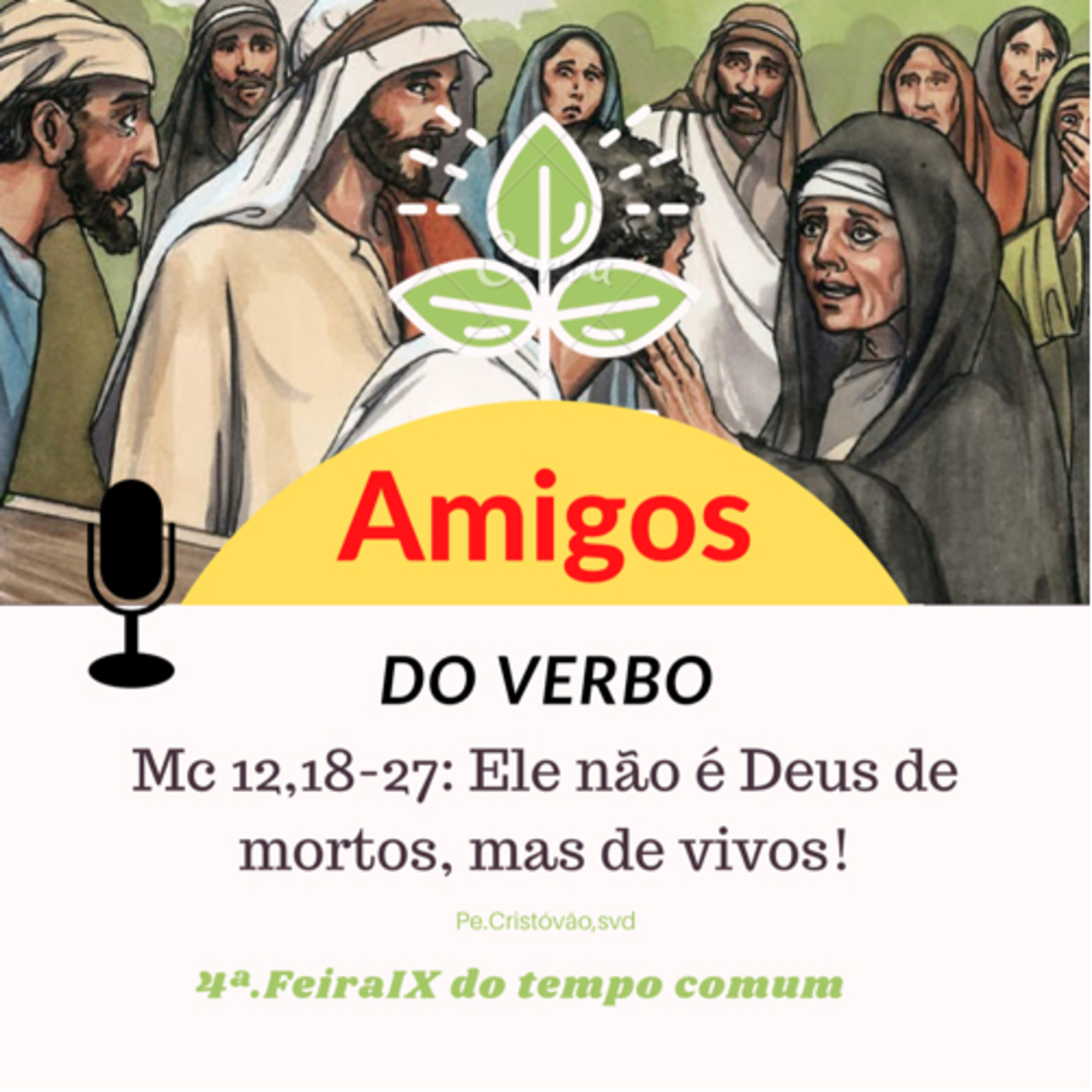 AMIGOS DO VERBO
