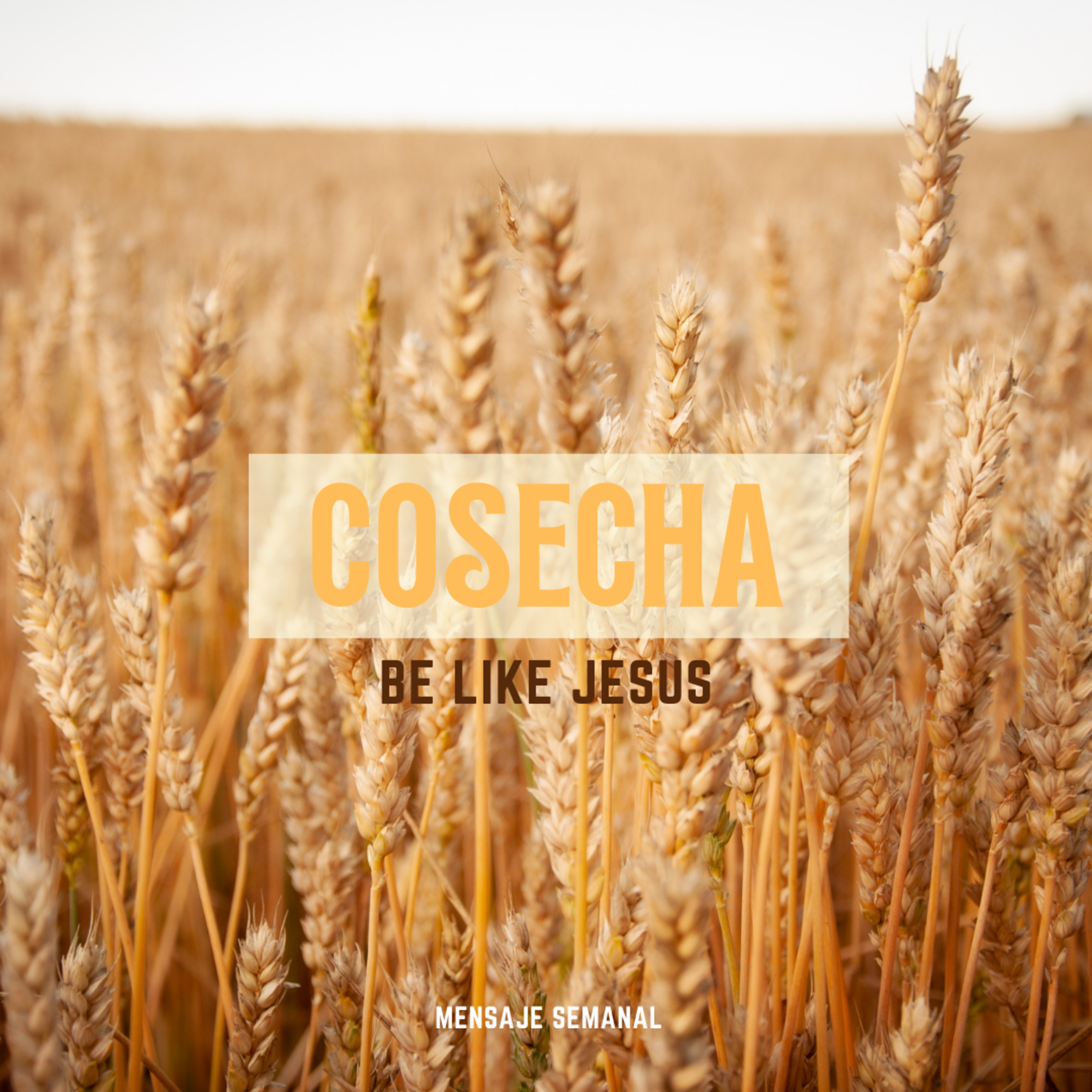 Portada de IGLESIA BE LIKE JESUS (MENSAJES SEMANALES)