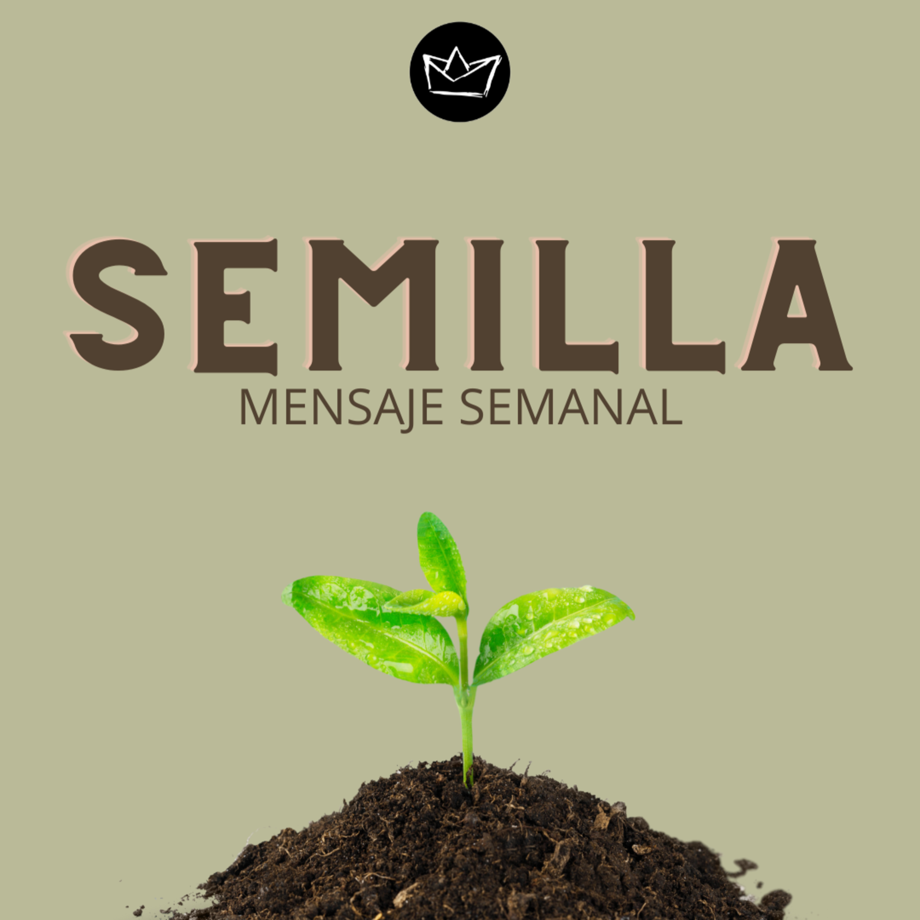 Portada de IGLESIA BE LIKE JESUS (MENSAJES SEMANALES)