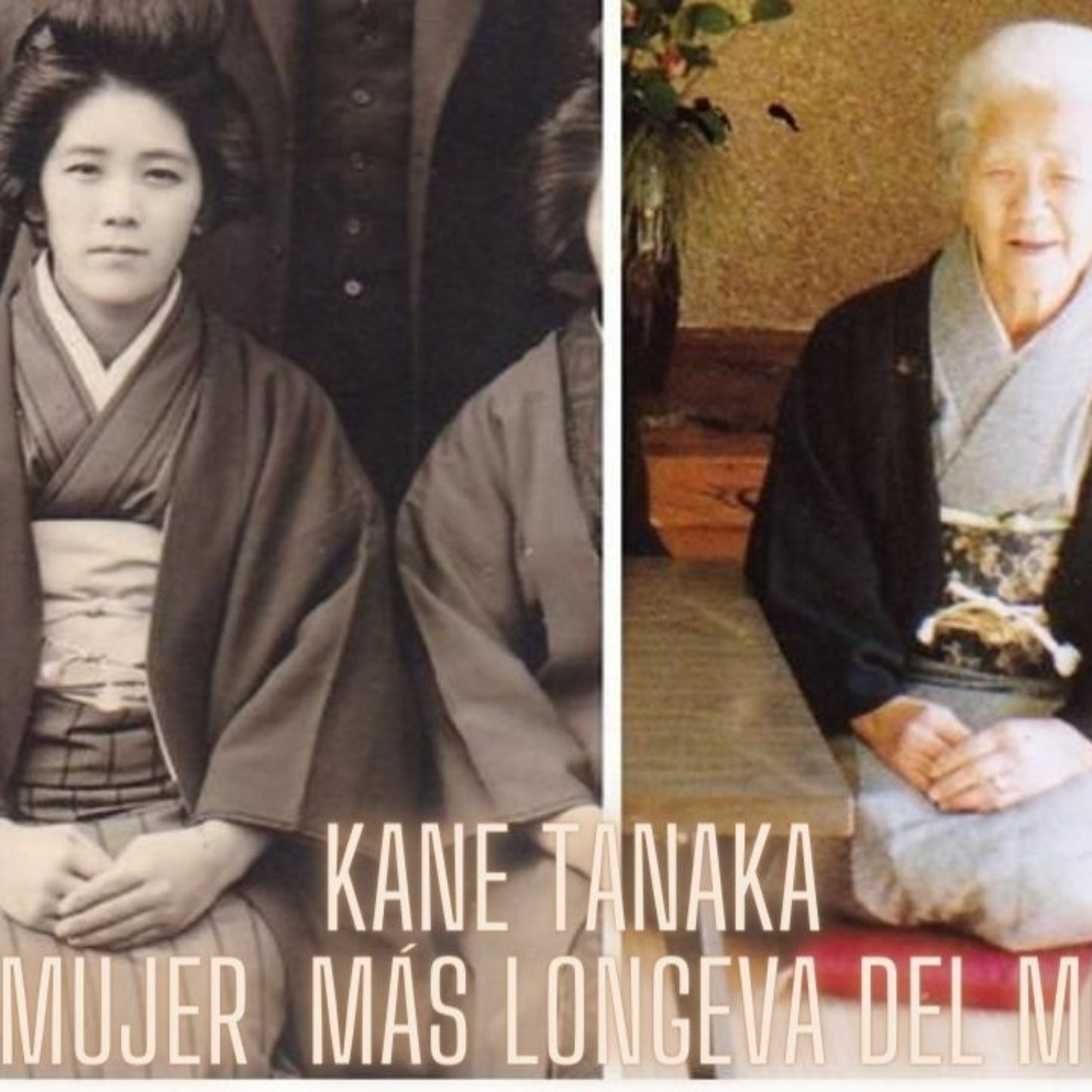 Kane Tanaka la Mujer más Longeva del mundo cumple 118 años de edad episode artwork
