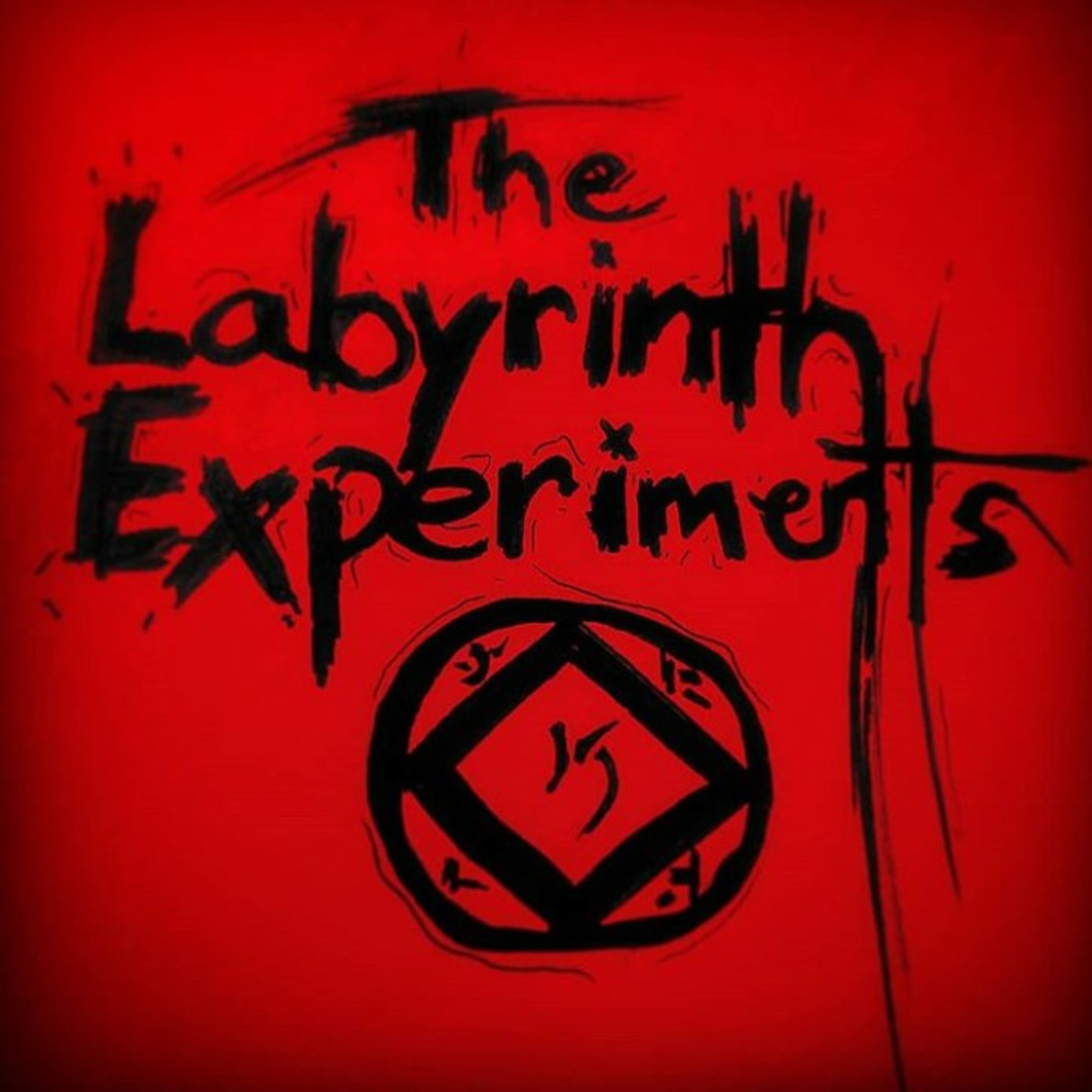 The Labyrinth Experiments