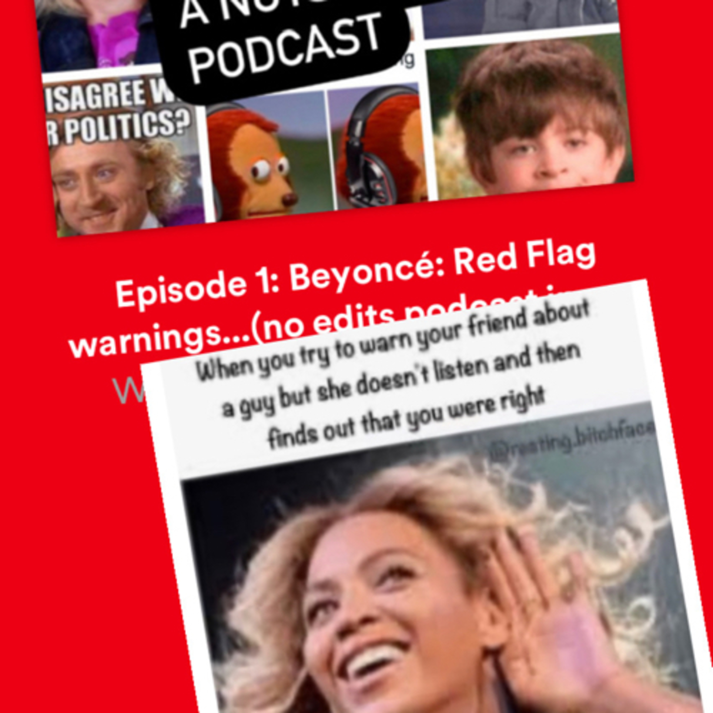 What I meme to say...a nutshell podcast