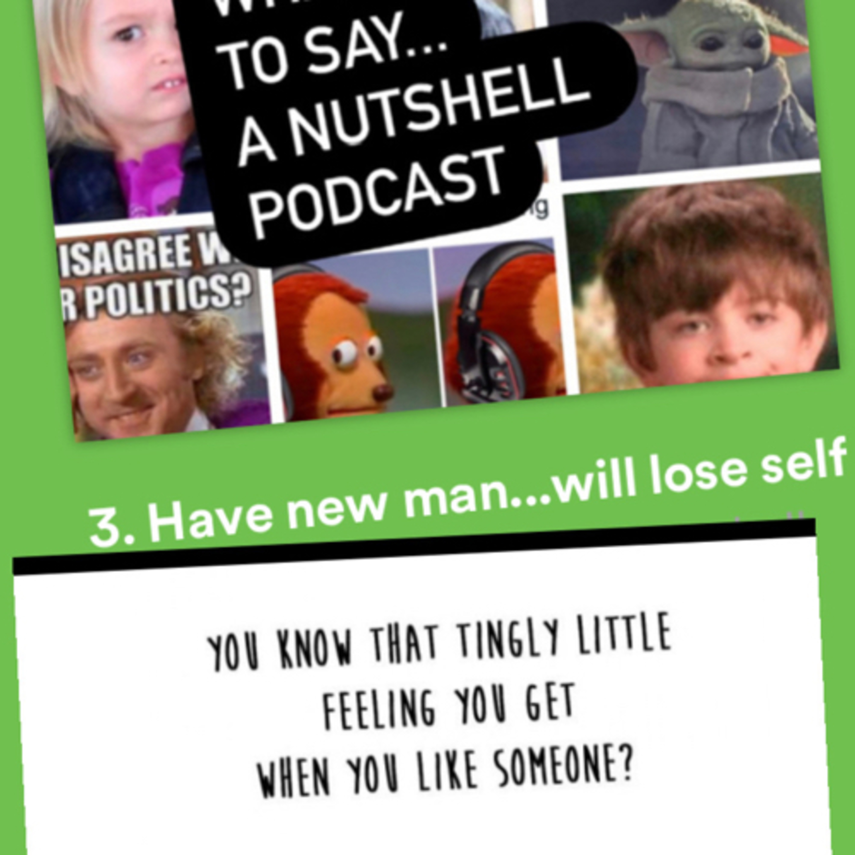 What I meme to say...a nutshell podcast