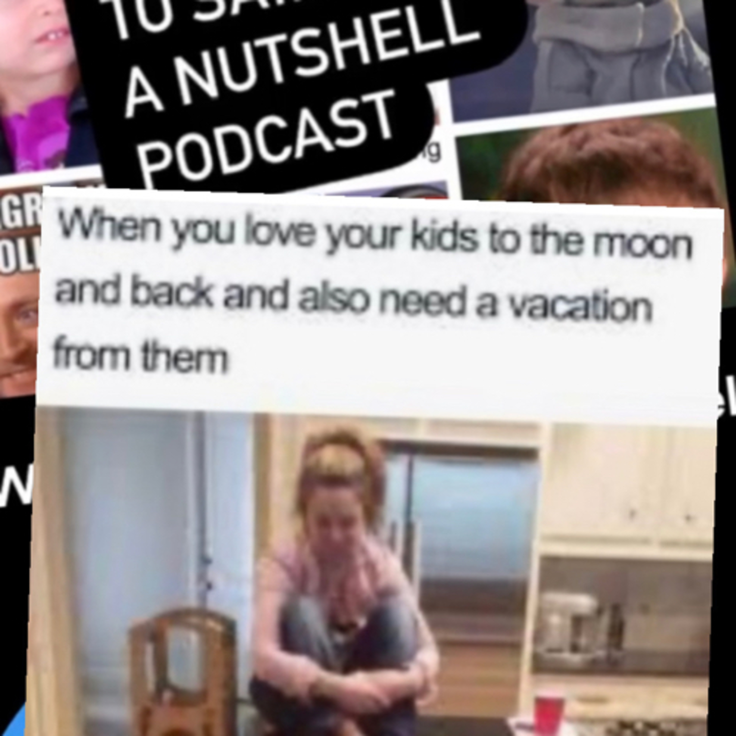 What I meme to say...a nutshell podcast
