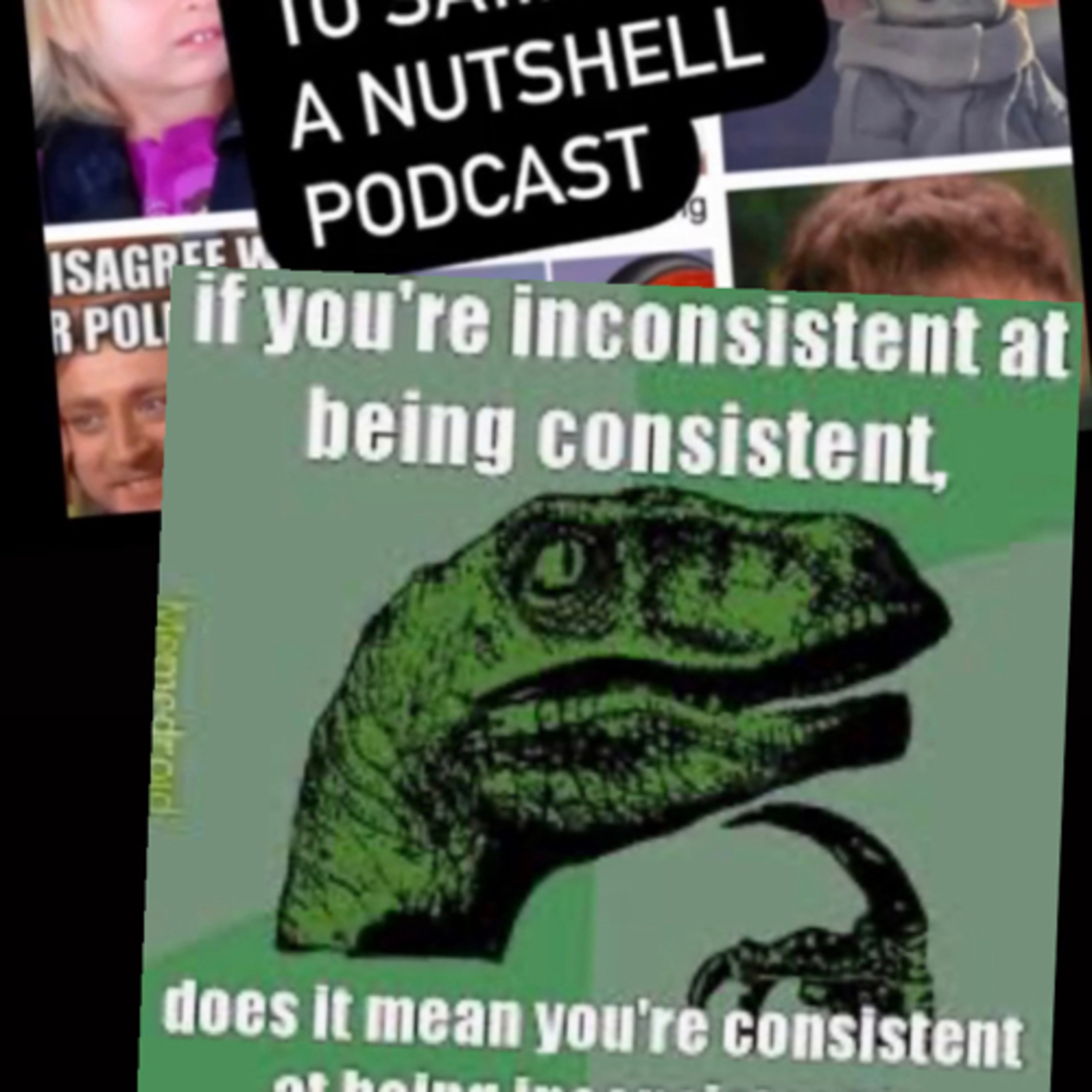 What I meme to say...a nutshell podcast