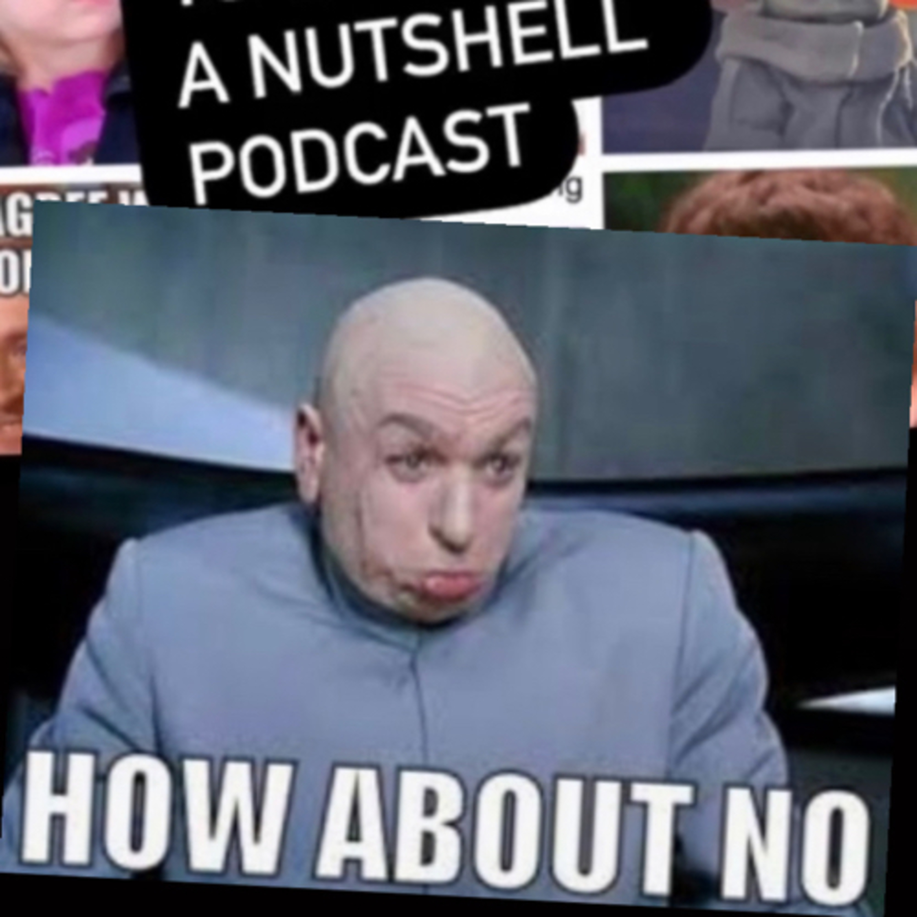 What I meme to say...a nutshell podcast