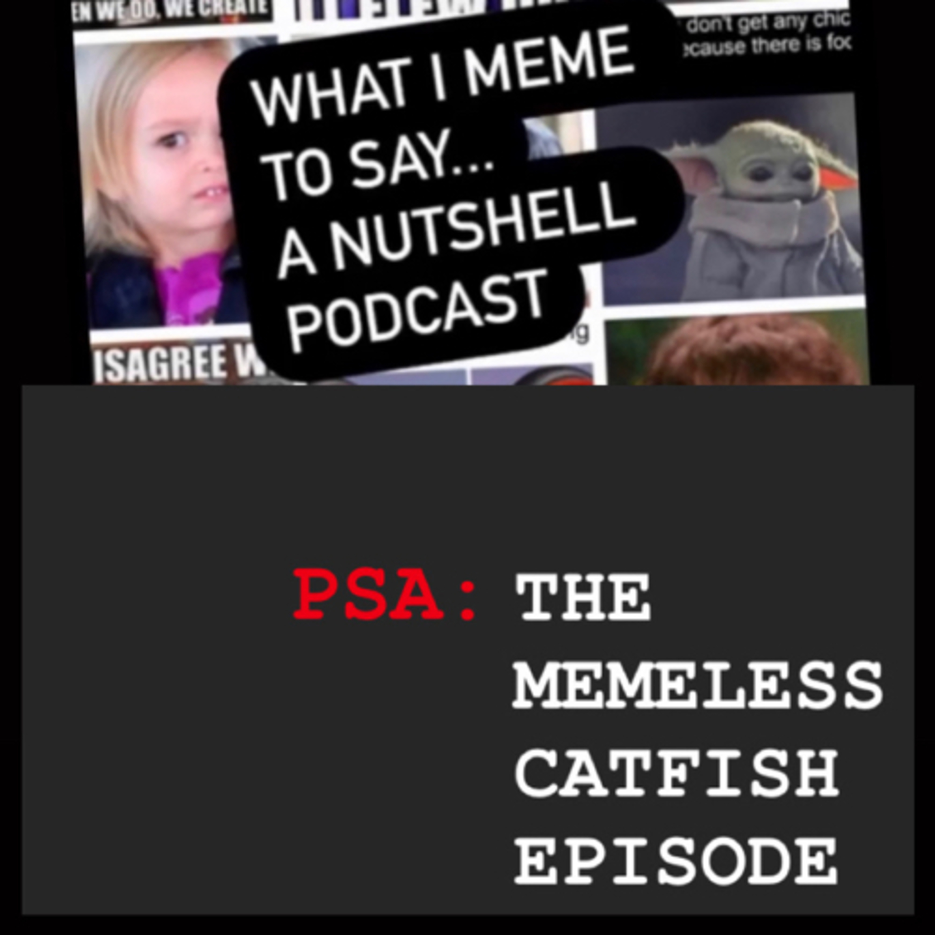 What I meme to say...a nutshell podcast