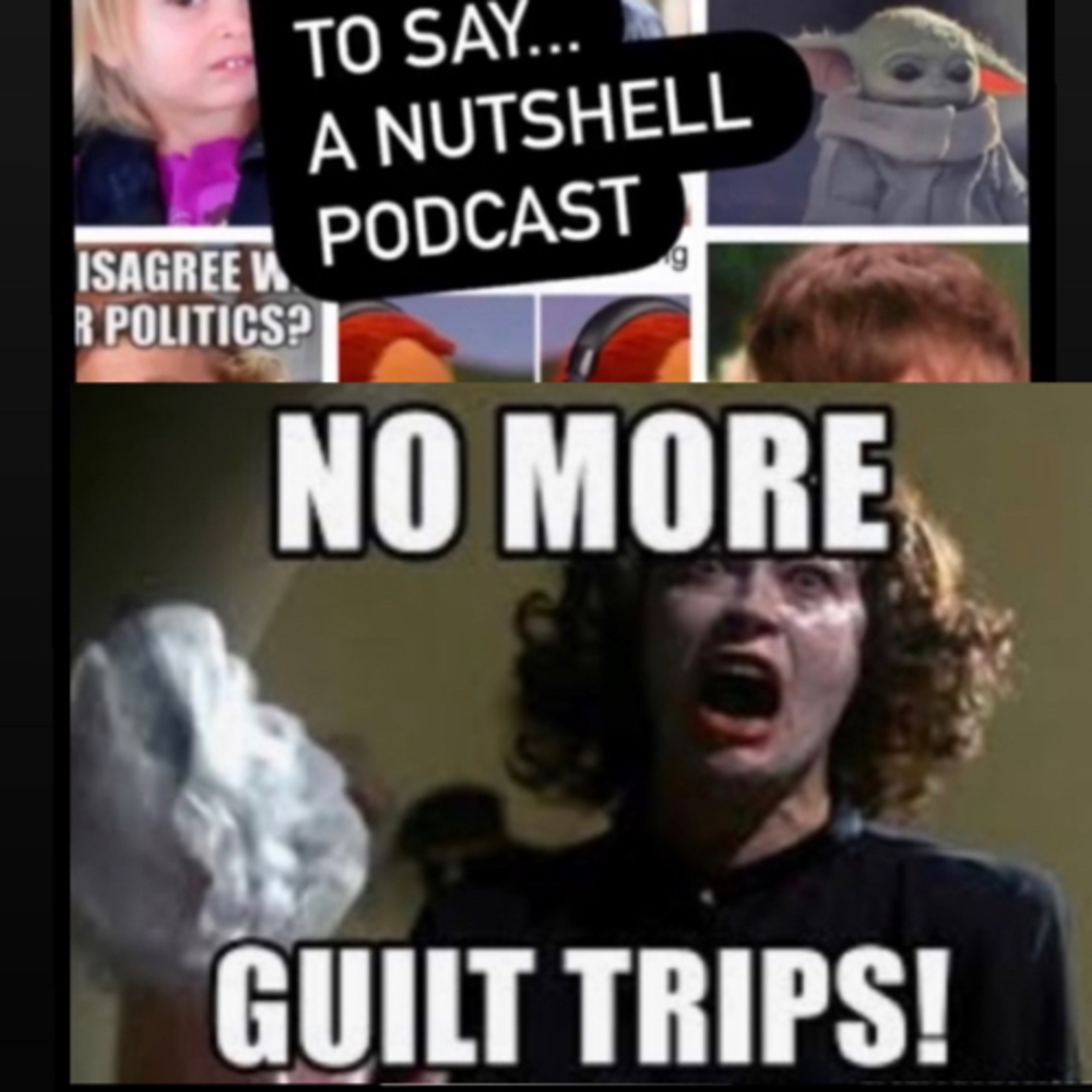What I meme to say...a nutshell podcast